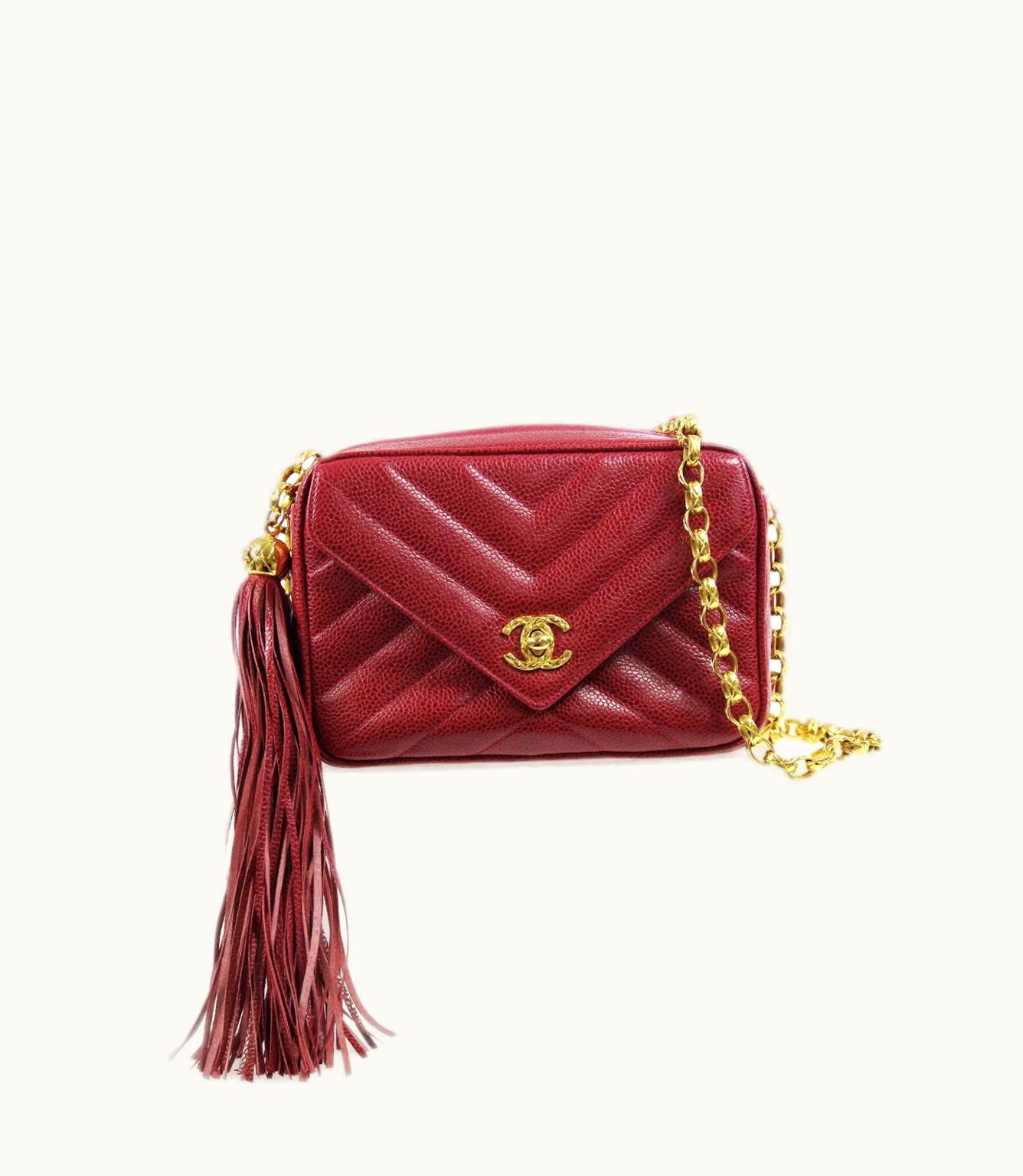 Chanel Chanel 1992 Chevron Bijoux Camera Bag