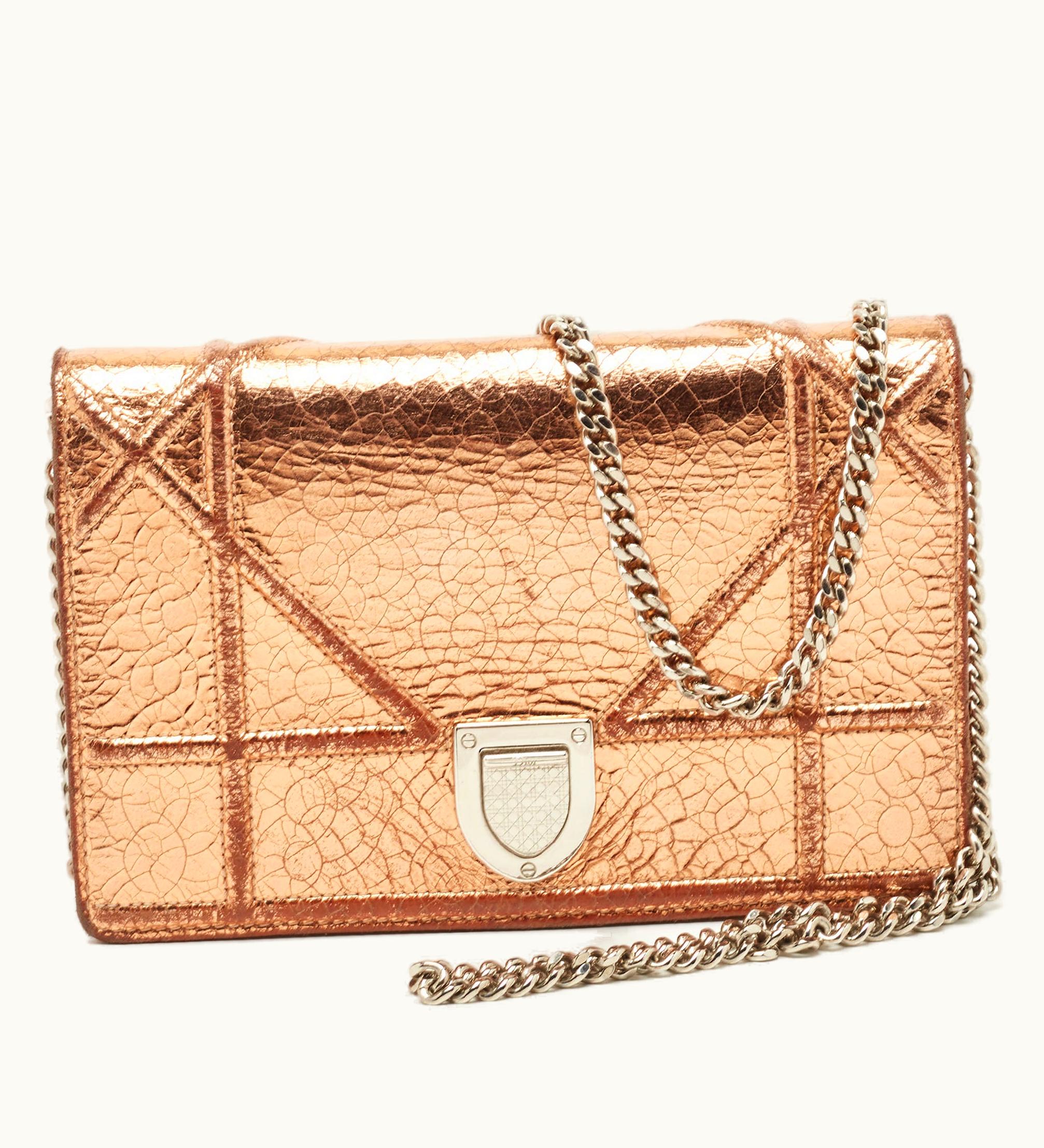 Dior Dior Bronze Ceramic Effect Leather Ama Wallet On Chain