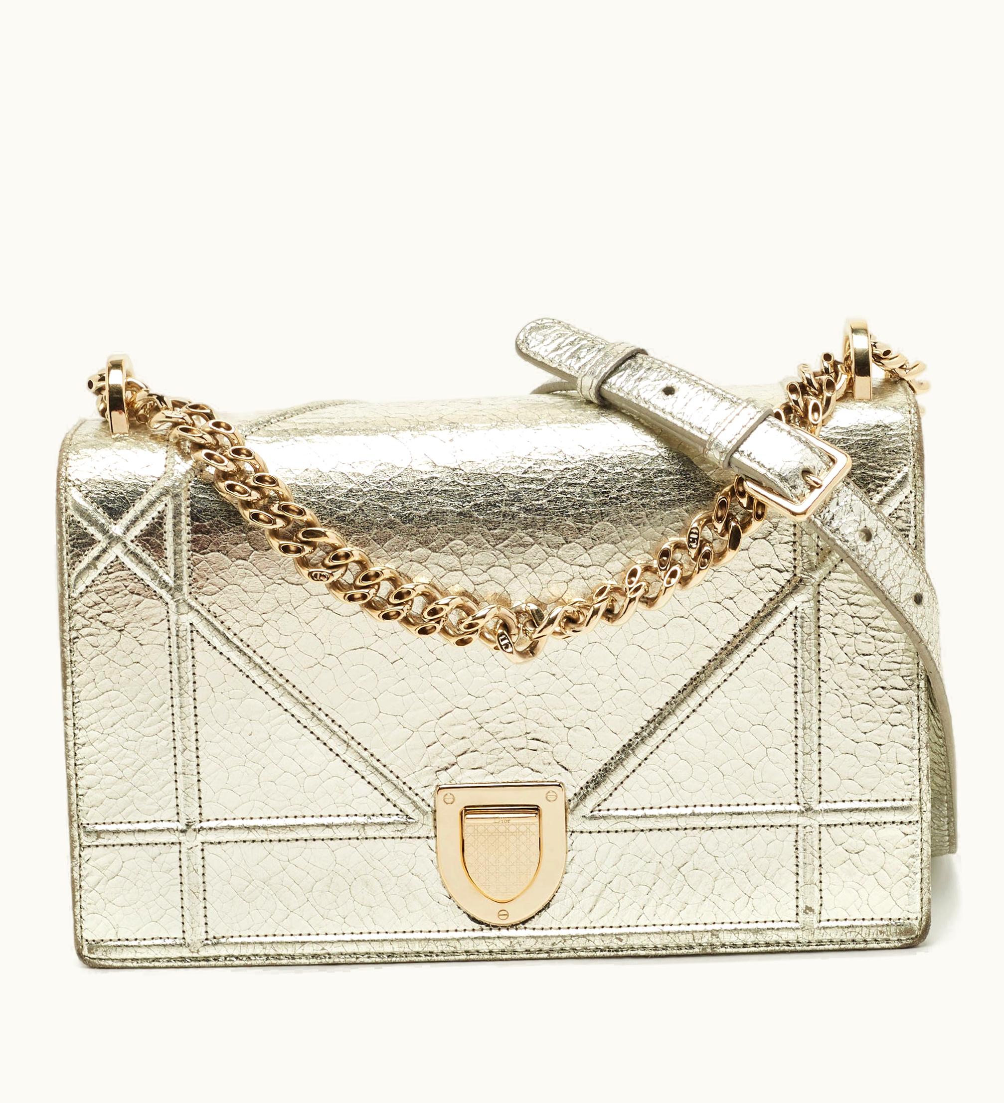 Dior Dior Silver Leather Medium Ama Flap Shoulder Bag
