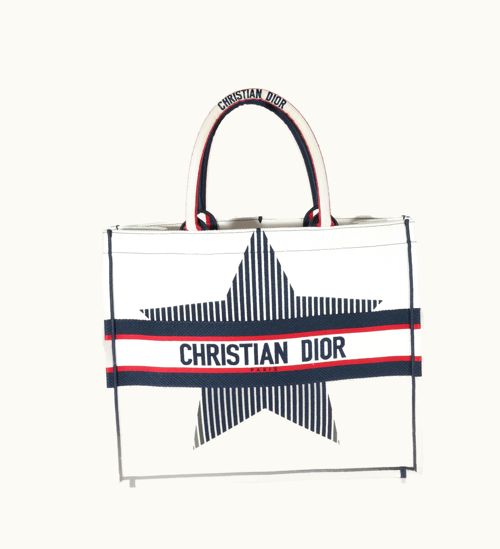Dior Dior Christian Dior White Canvas Dioralps Large Book Tote