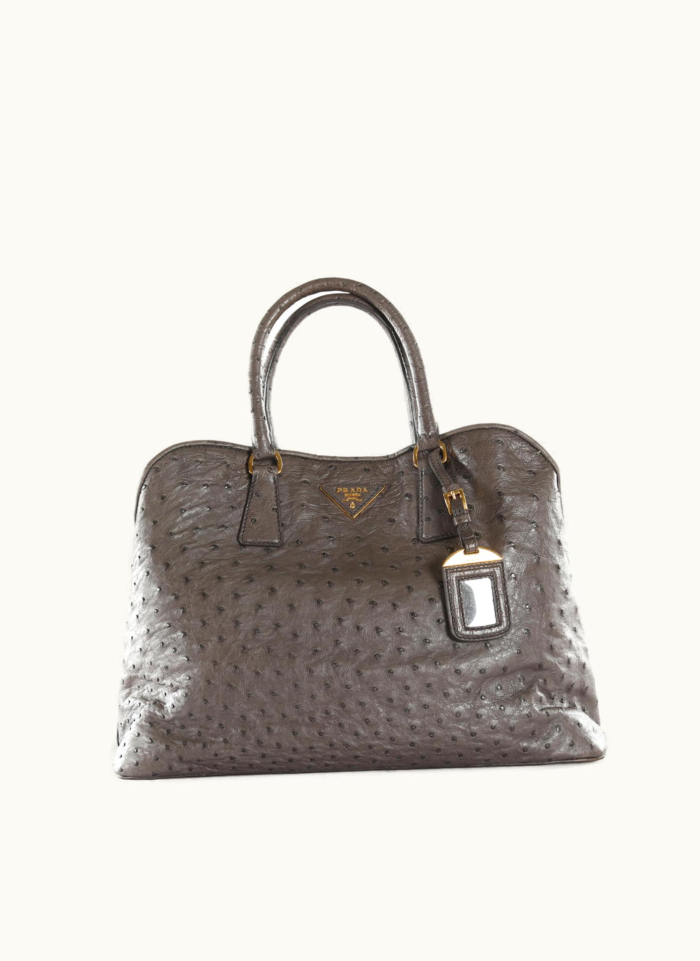 Prada Prada Grey Ostrich Leather Open Slit Struzzo Shoulder Bag