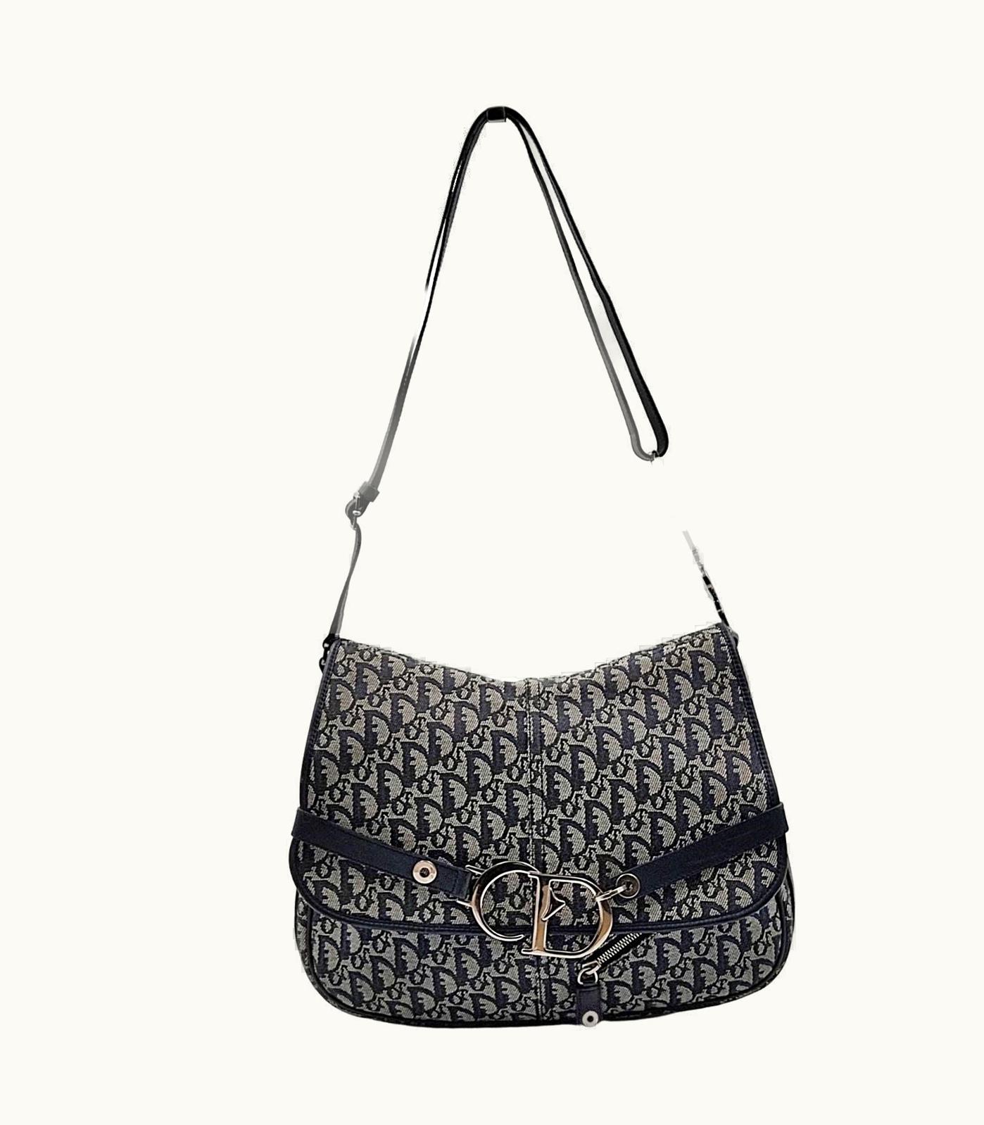 Dior Dior Saddle Large Shoulder Bag In Monogram Canvas