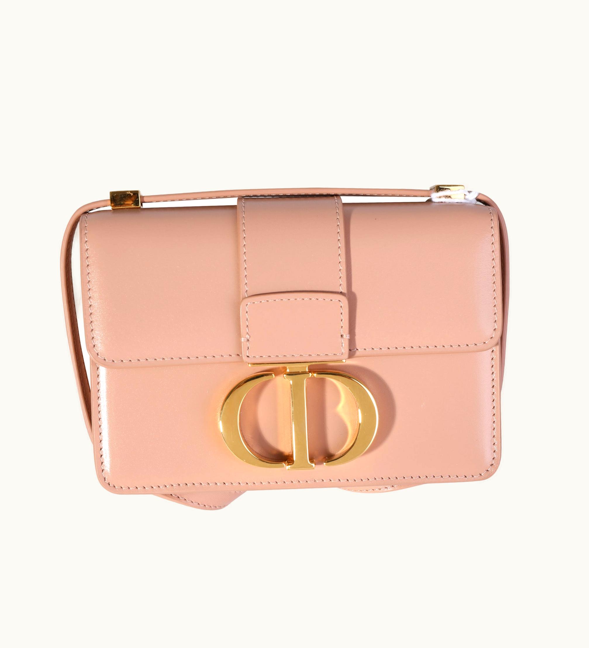 Dior Dior Christian Dior Rose Des Vents Calfskin 30 Montaigne Micro Bag
