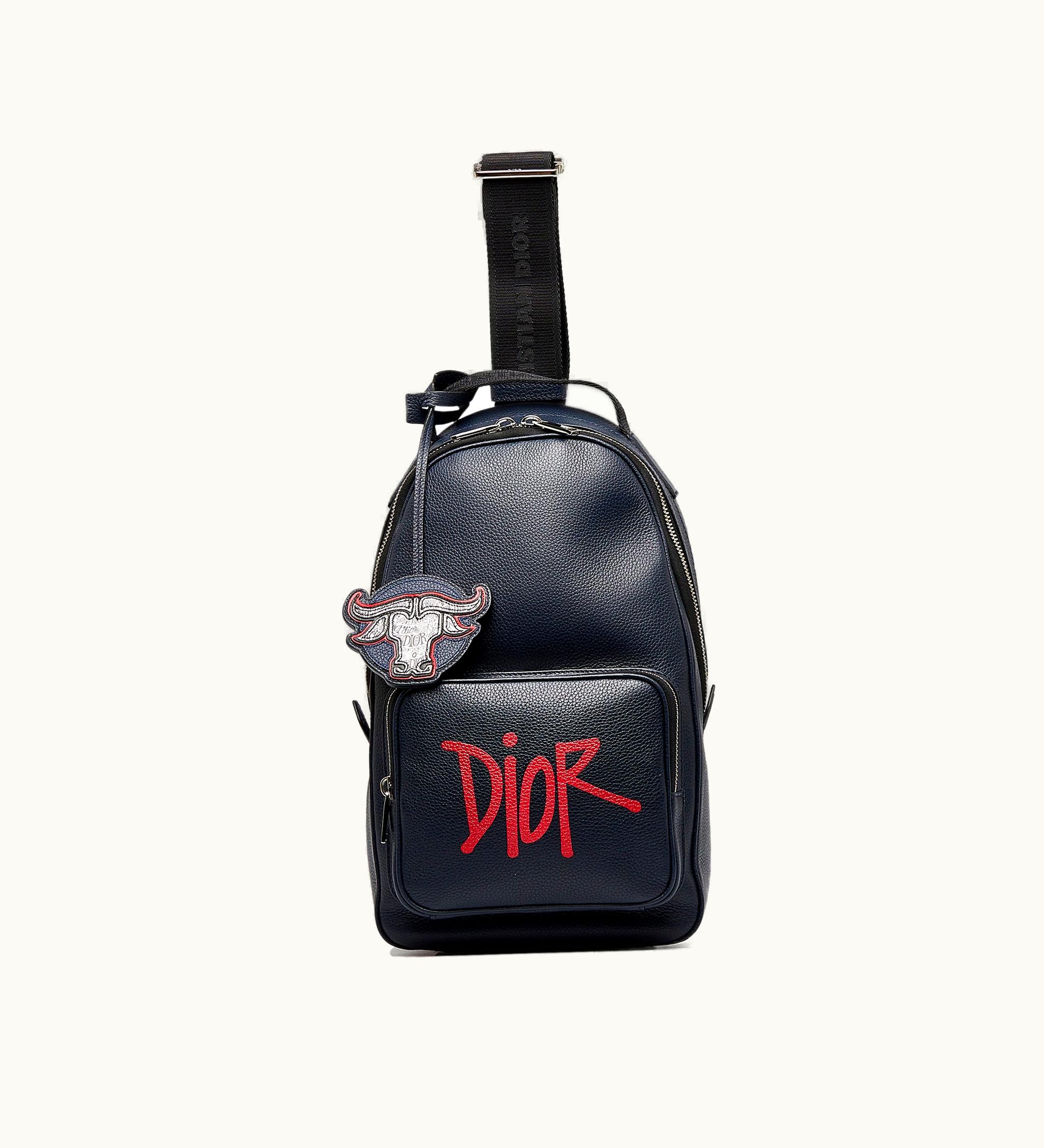 Dior Dior X Shawn Stussy Year Of The Ox Sling Backpack