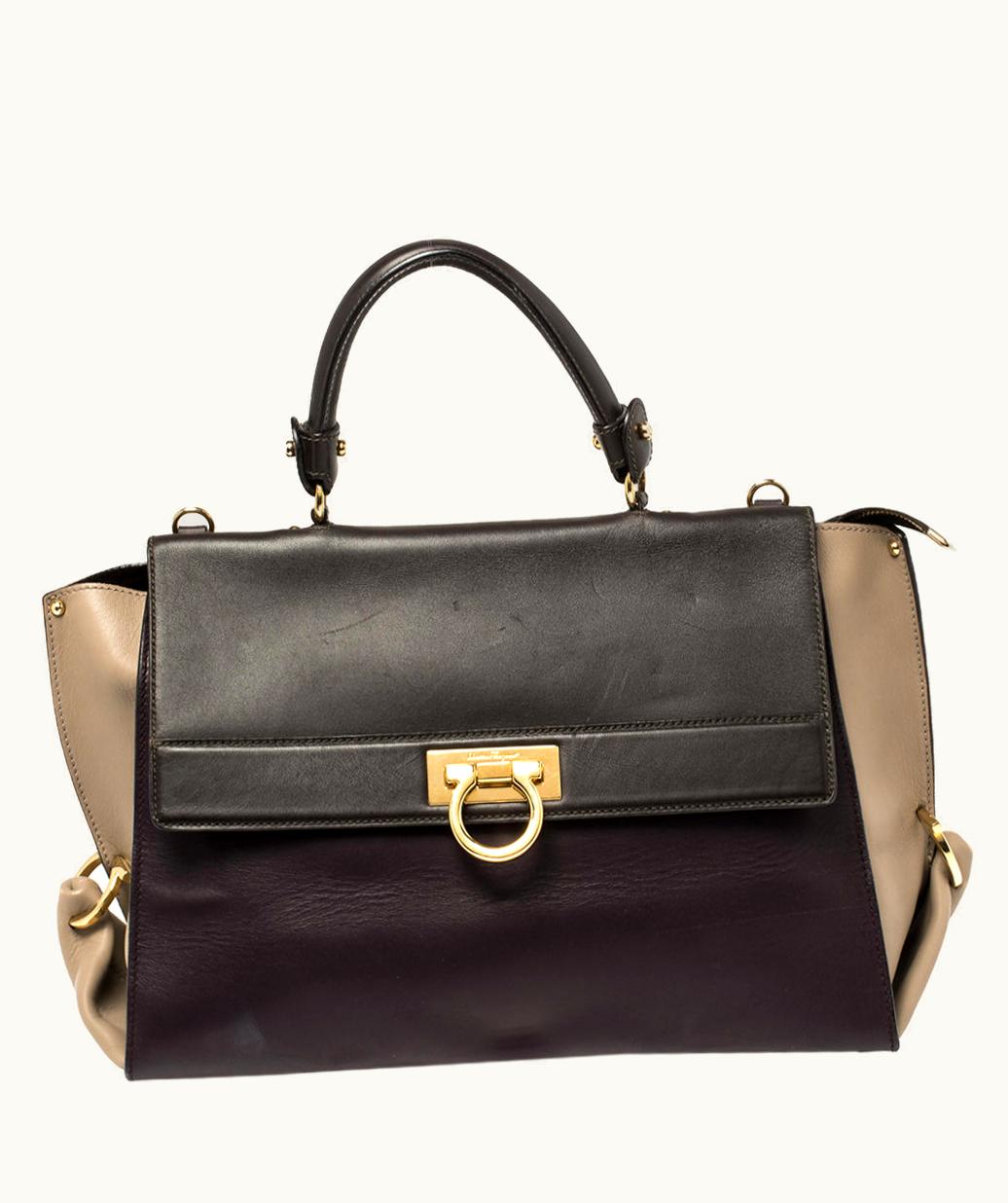 Salvatore Ferragamo Salvatore Ferragamo Multicolor Leather Large Sofia Top Handle Bag