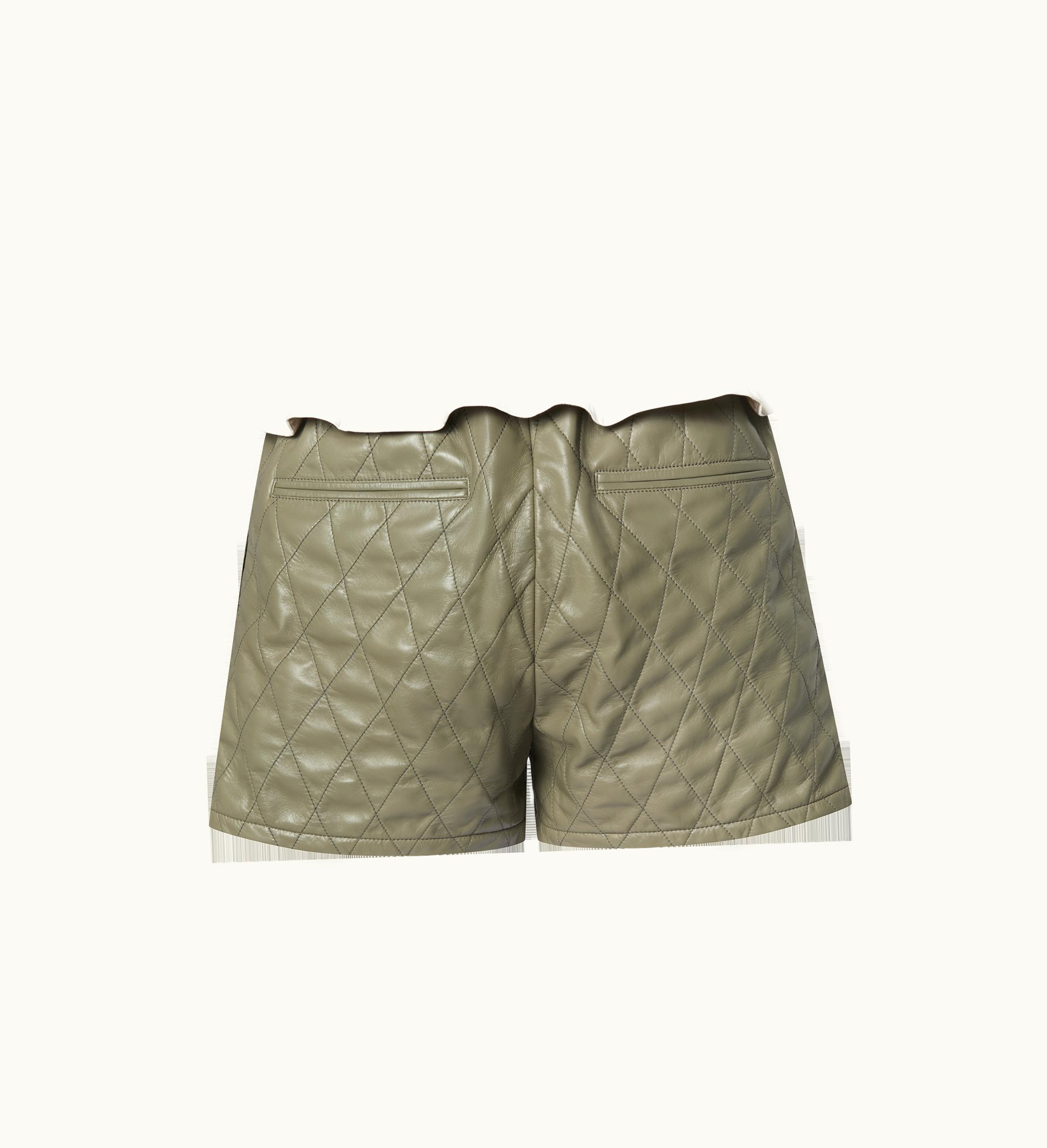 Louis Vuitton Louis Vuitton Colour-Blocked Malletage Leather Mini Shorts