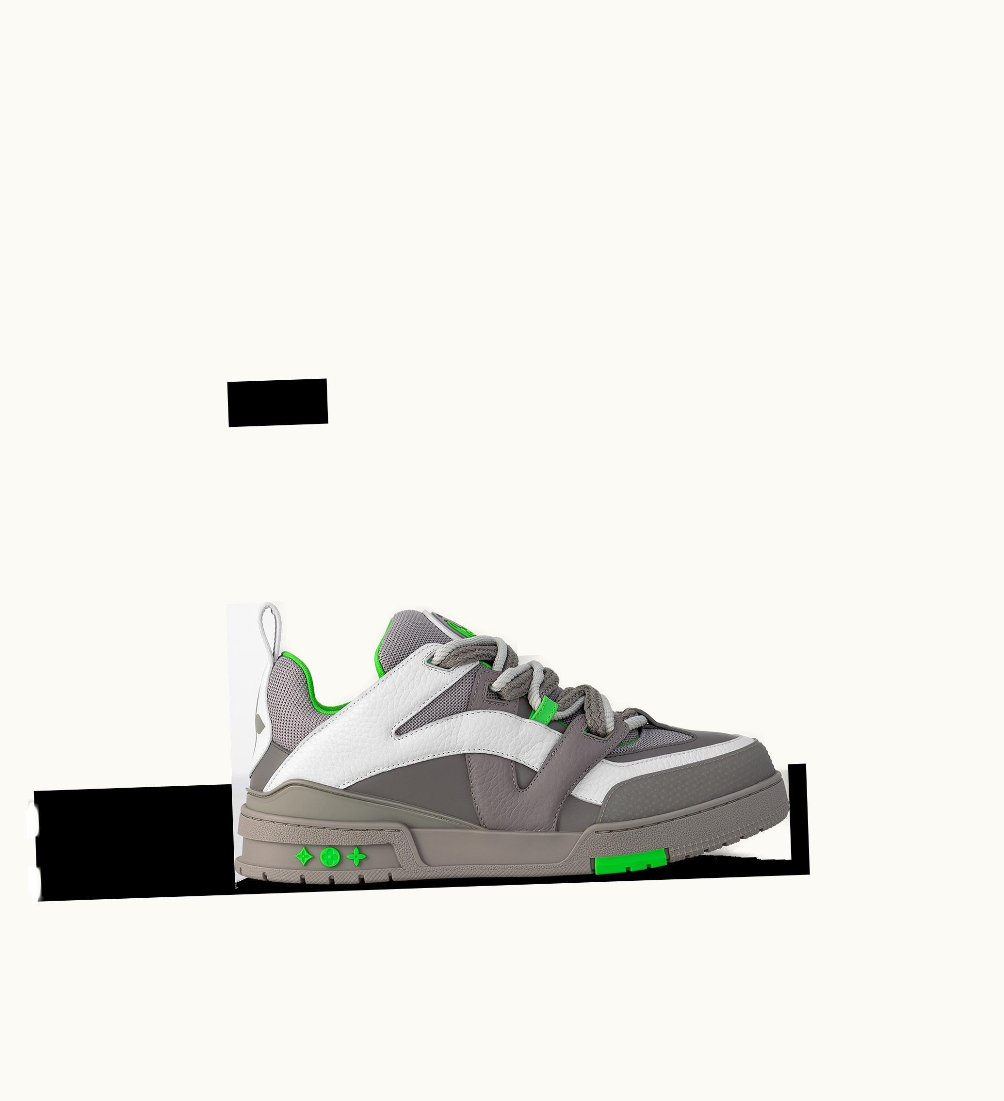 Louis Vuitton Louis Vuitton LV Skate Trainers 1ABZ4Q