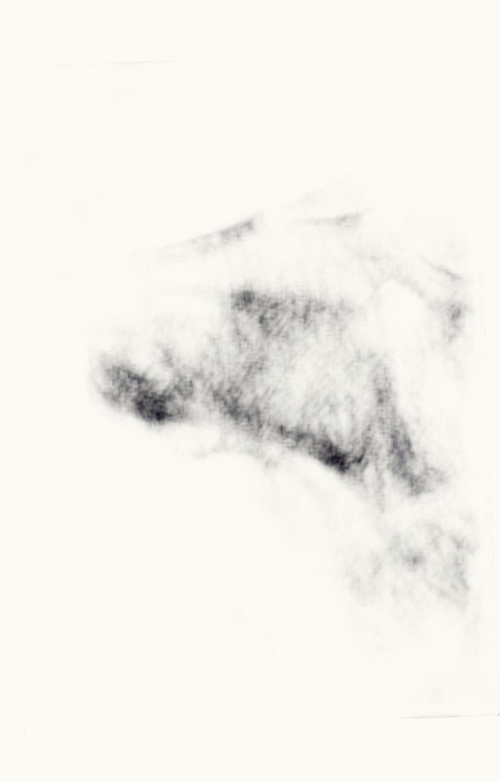 Loro Piana Loro Piana The Gift Of Kings® Long-Sleeved Polo Navy Blue