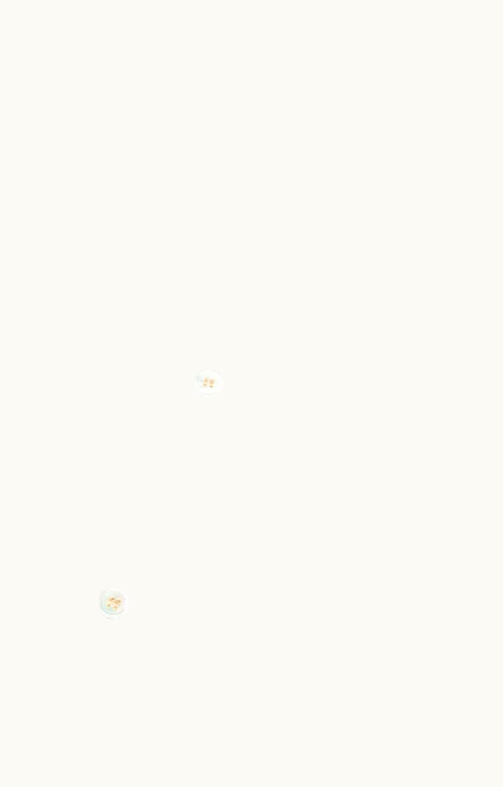 Loro Piana Loro Piana André Shirt Ginger Root