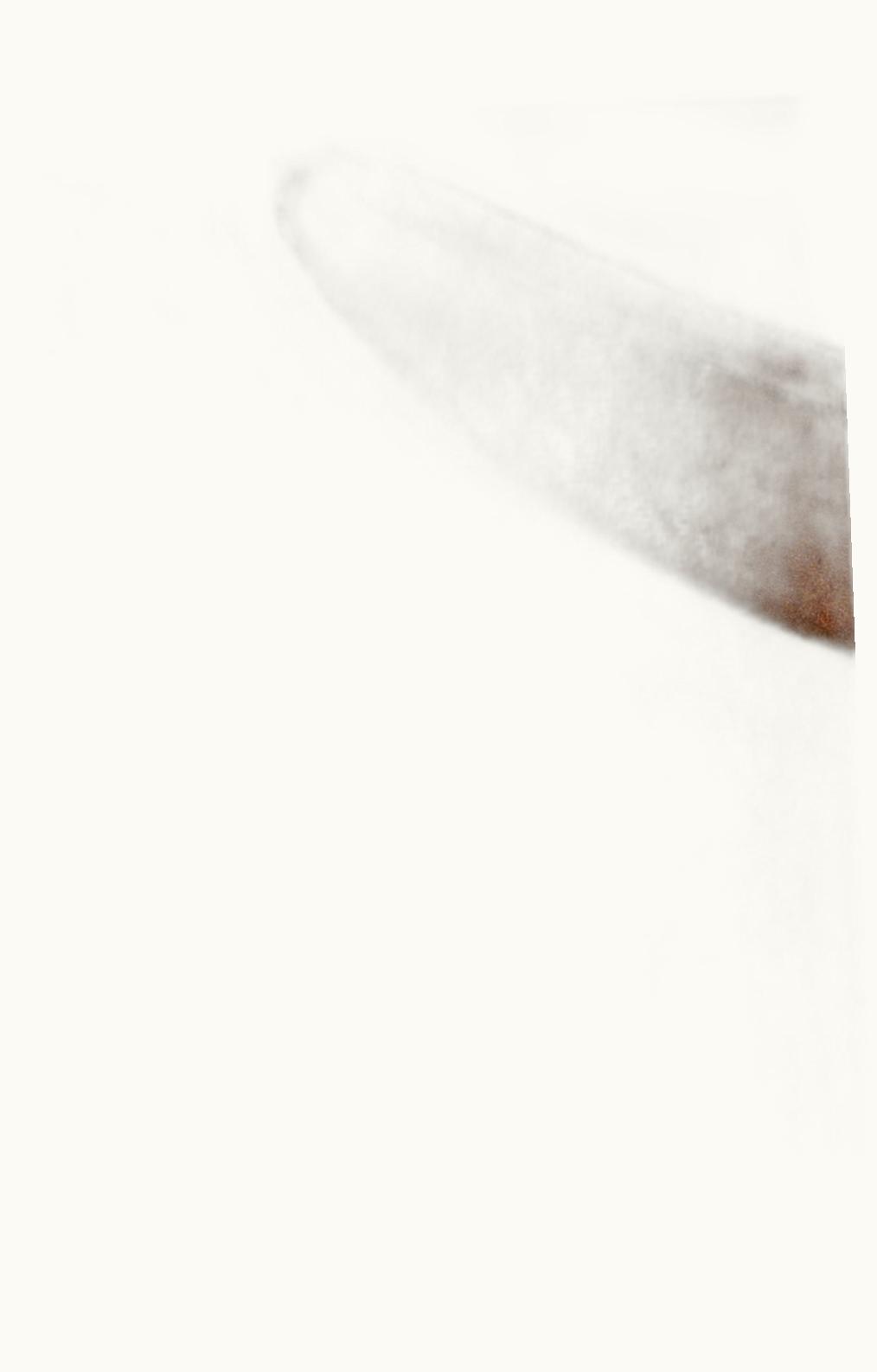 Loro Piana Loro Piana Mara Shirt Reishi Mel