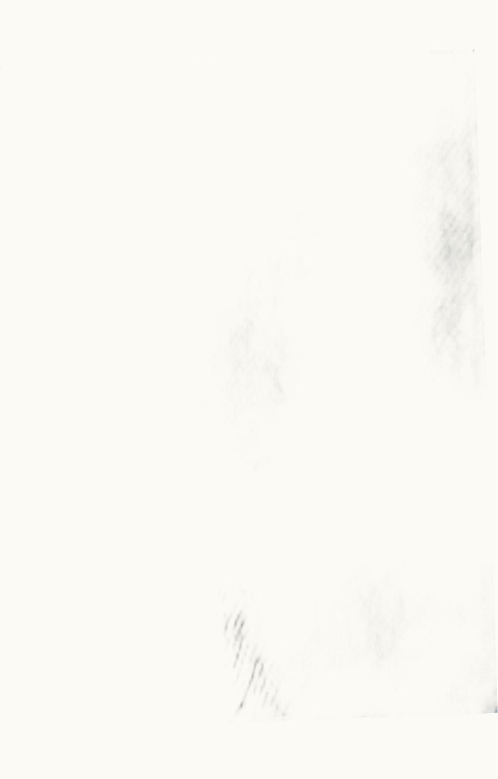 Loro Piana Loro Piana Vicuña V-Neck Mid-Winter Dusk