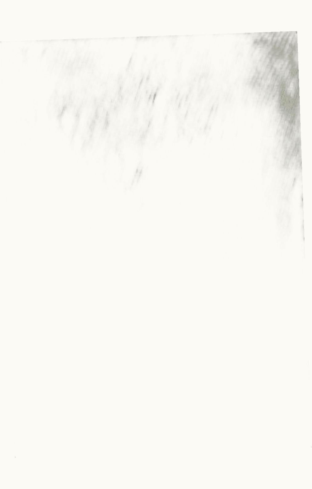 Loro Piana Loro Piana Vicuña V-Neck Arctic Leaf