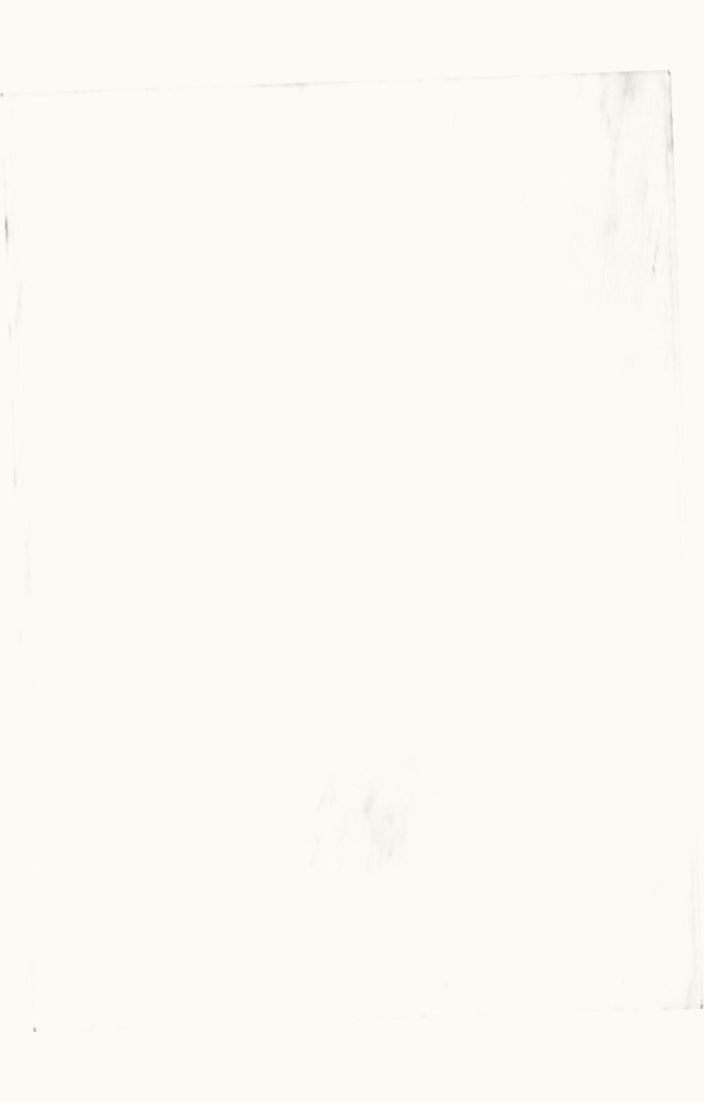 Loro Piana Loro Piana Vicuña Crew Neck Arctic Leaf