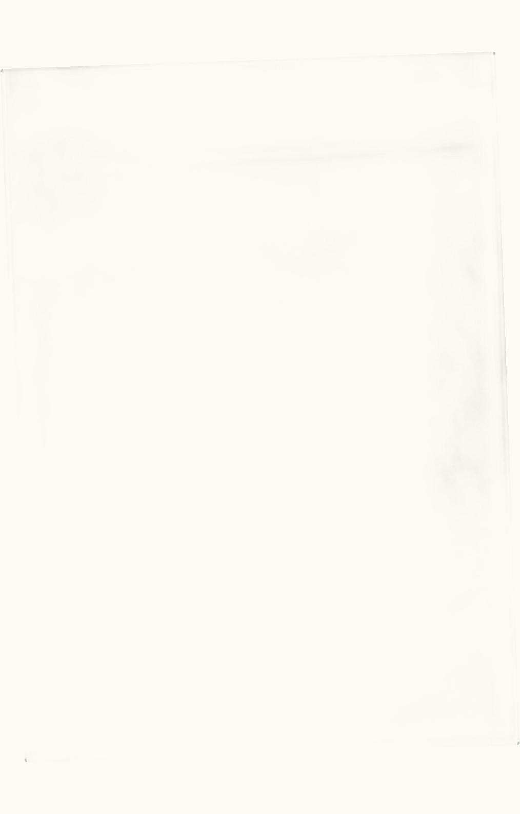 Loro Piana Loro Piana The Gift Of Kings® Crew Neck Fancy White