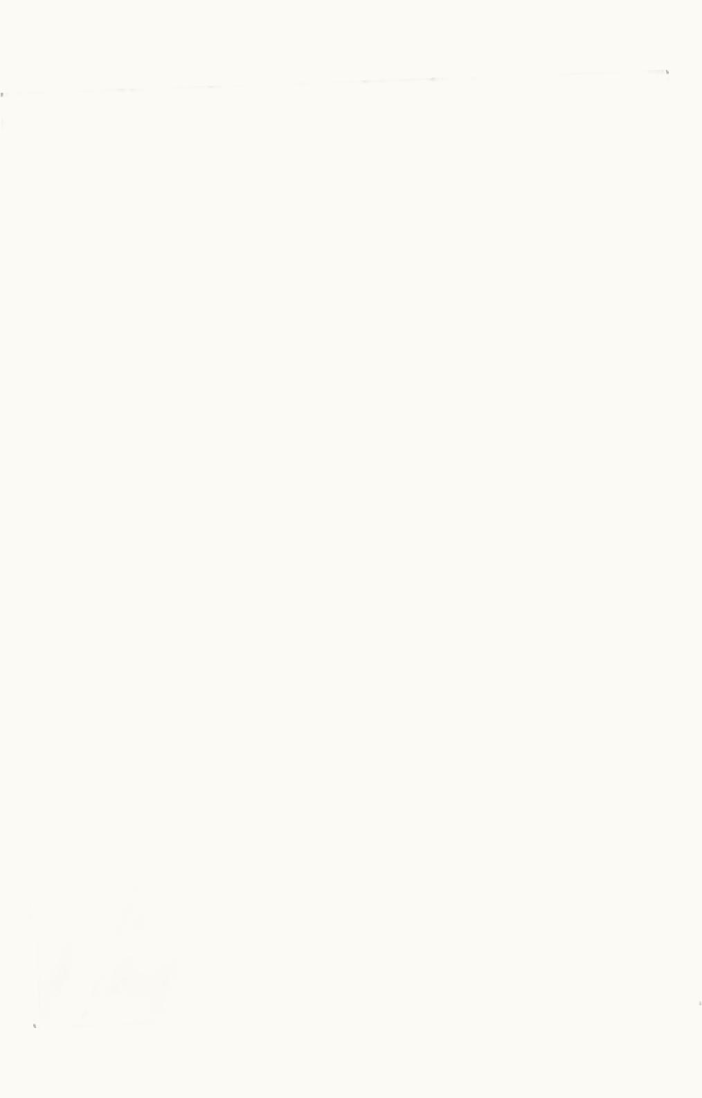 Loro Piana Loro Piana The Gift Of Kings® Polo Shirt White/Natural White Orylag