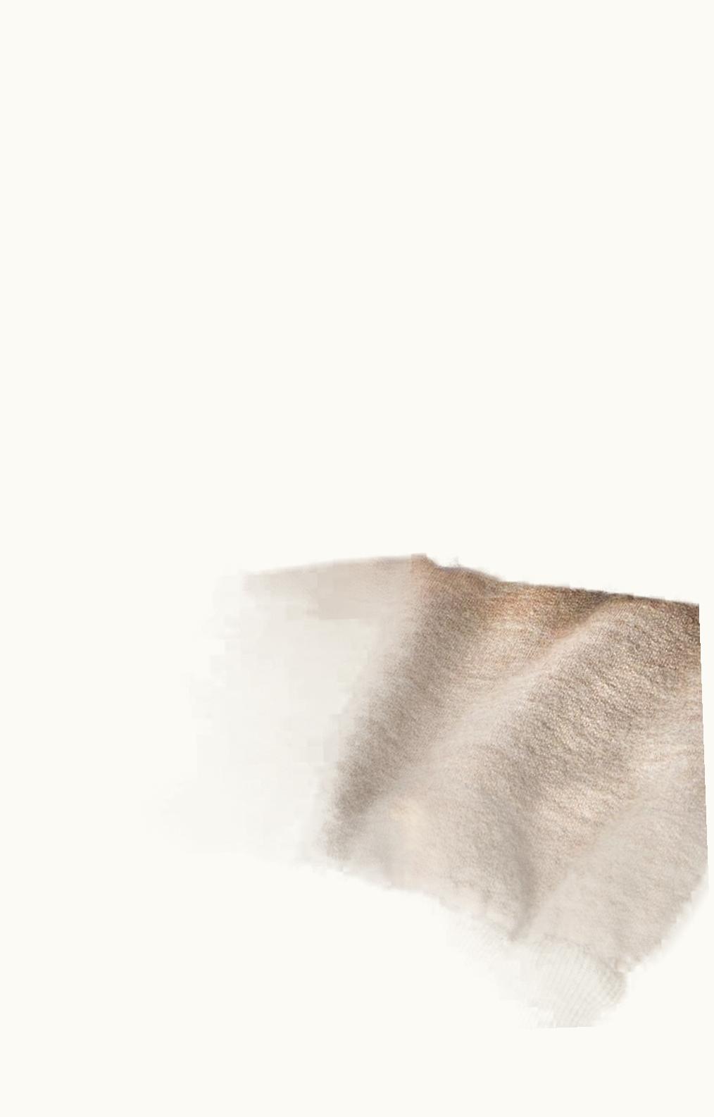 Loro Piana Loro Piana Cocooning Sweatshirt Demy Brown Nat Limited Edition Earthy Luxe