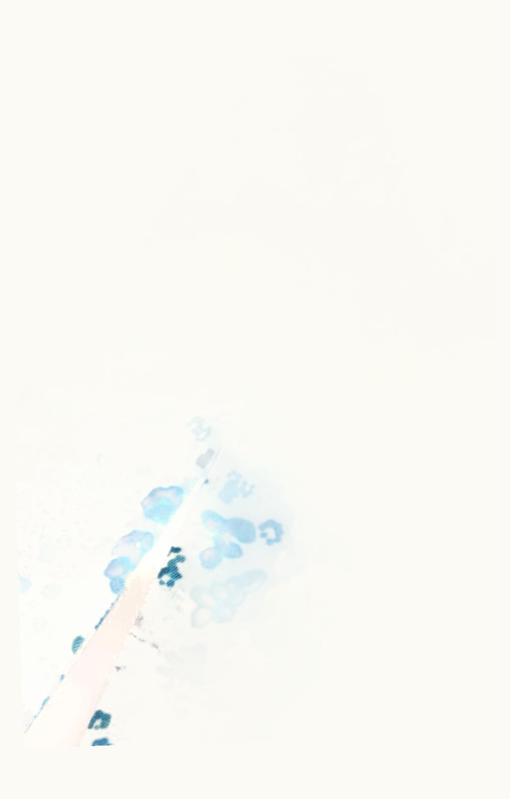 Loro Piana Loro Piana Blue Eyes Tie Band Blue Eyes Flowers/Ivory