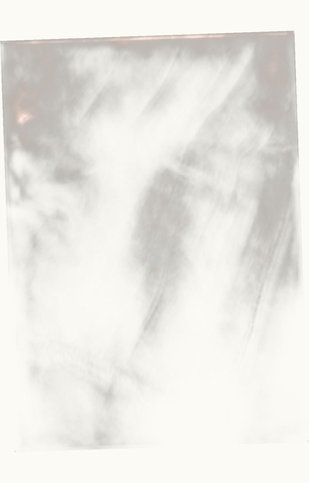 Loro Piana Loro Piana Maxi Crest Stole Plum Flower