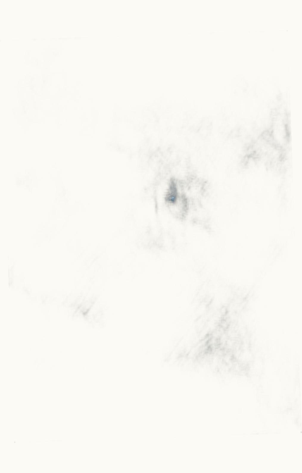 Loro Piana Loro Piana Grande Unita Scarf Mashu Lake Mel