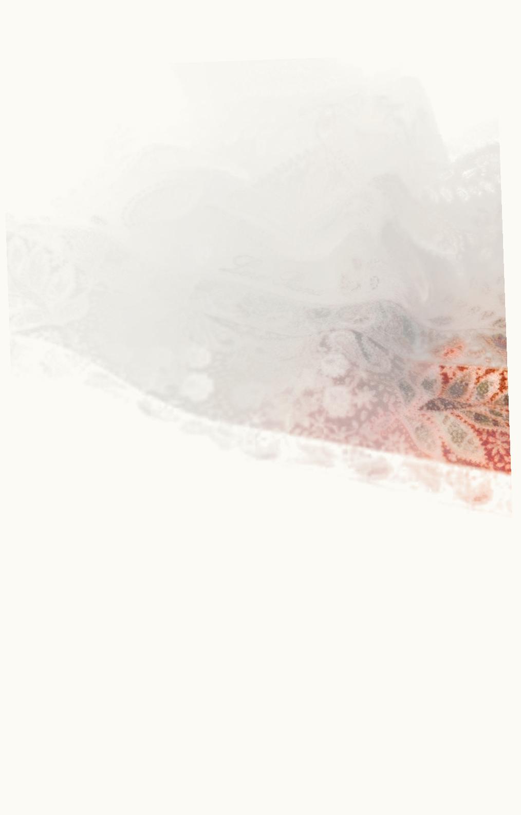 Loro Piana Loro Piana Yoyogi Shawl Sesame Sauce/Brown/Dry Kombu