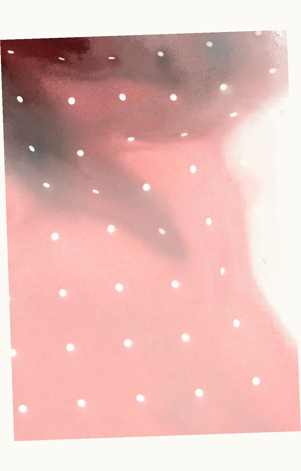 Loro Piana Loro Piana Triangle Scarf Deep Bordeaux/White