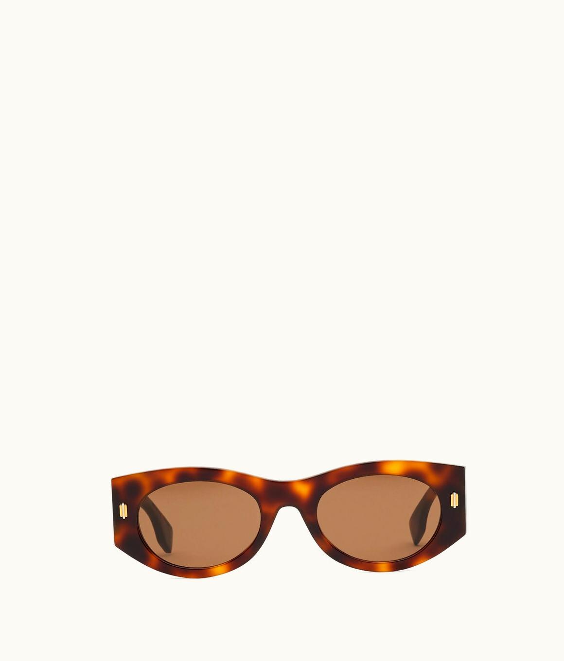 Fendi Fendi Roma - Low Bridge Fit Havana Acetate Sunglasses
