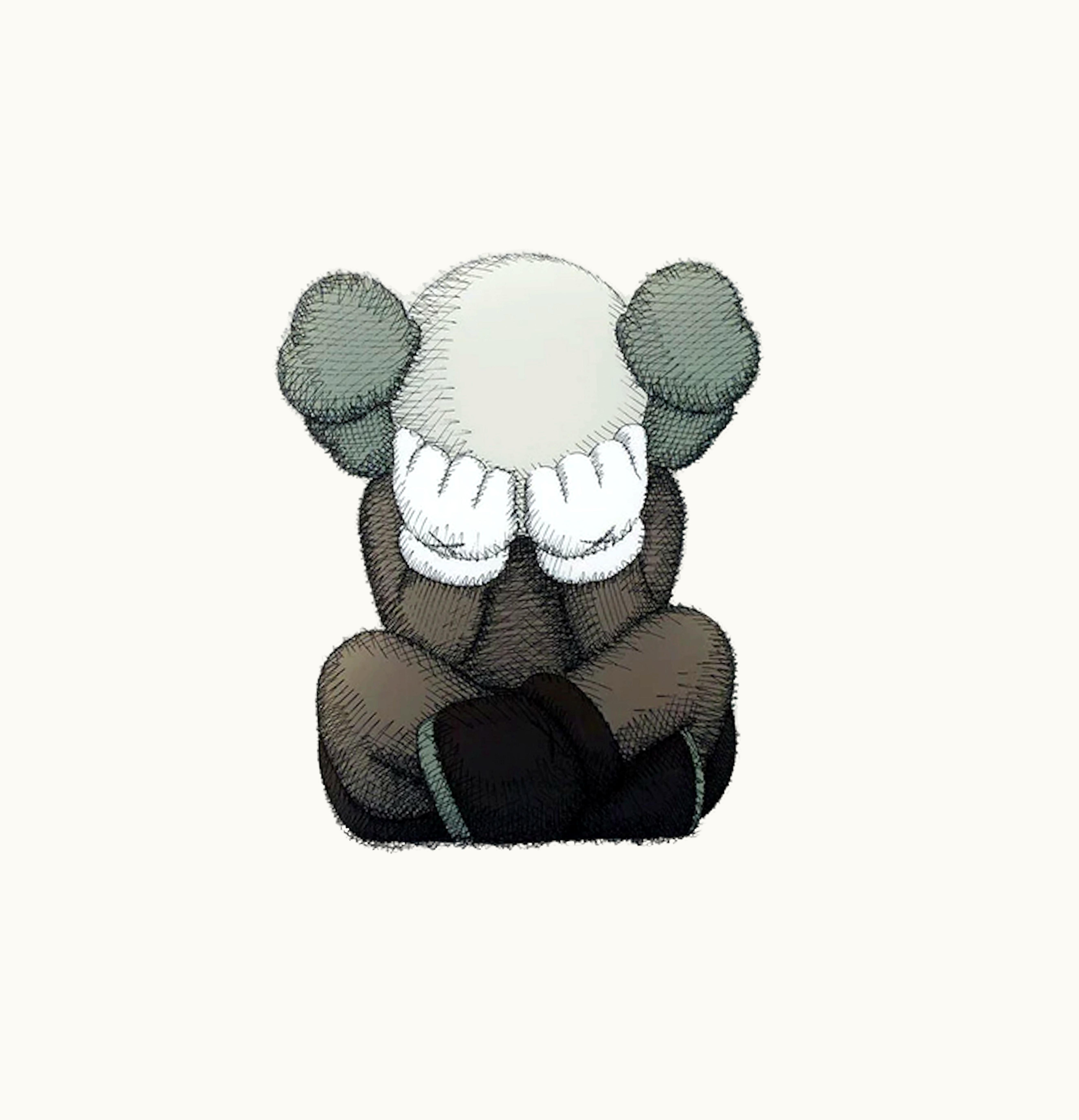 KAWS KAWS Tokyo First Clear File Separated