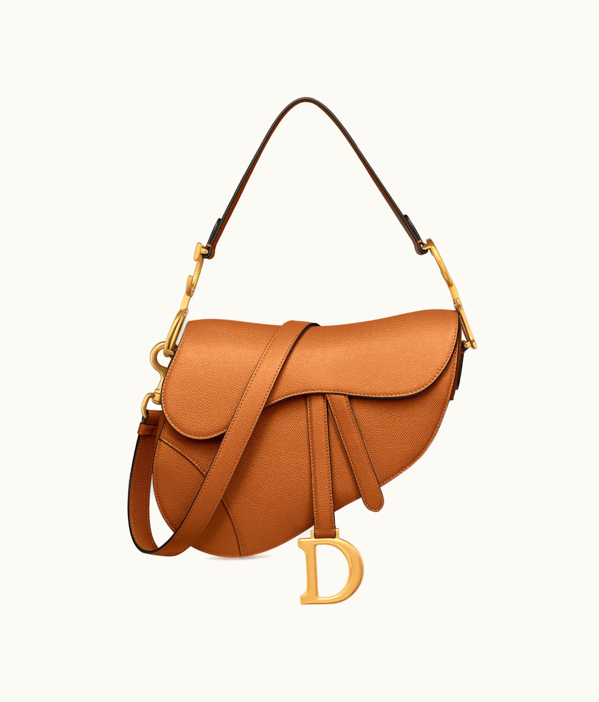 Dior Dior Saddle Bag With Strap - Golden Saddle Grained Calfskin