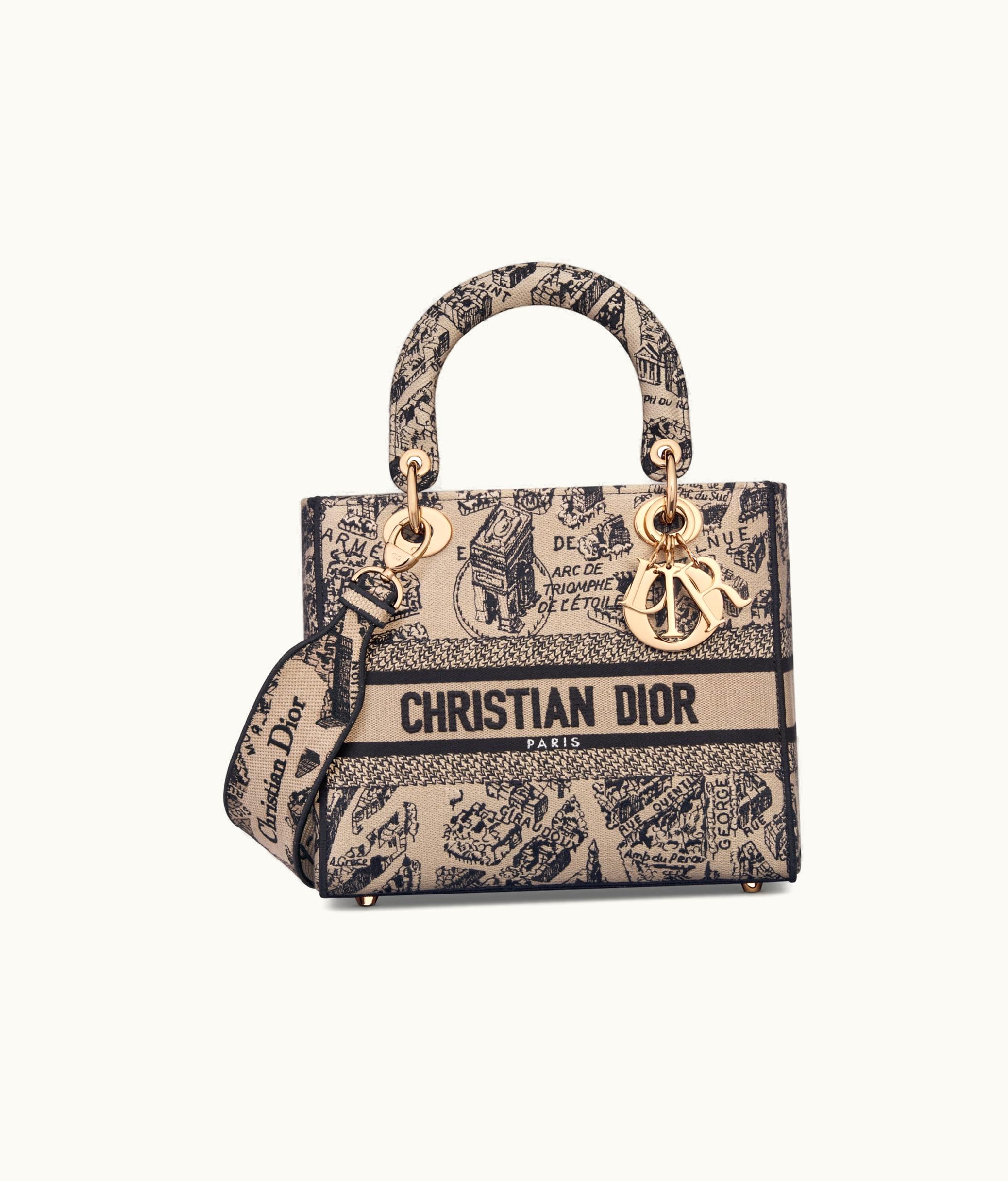 Dior Dior Medium Lady D-Lite Bag - Beige And Black Plan De Paris Embroidery