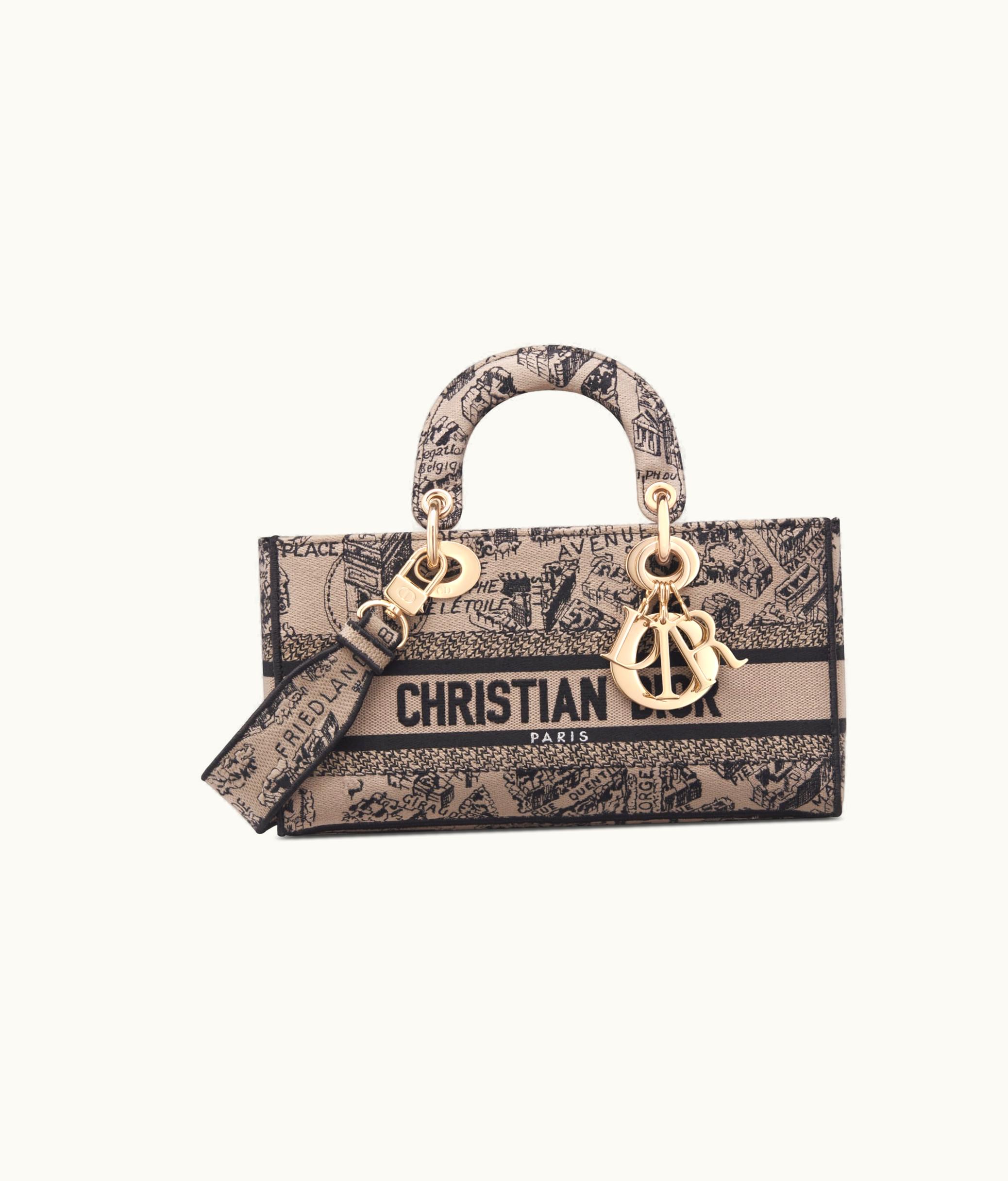 Dior Dior Medium Lady D-Joy Bag - Beige And Black Plan De Paris Embroidery