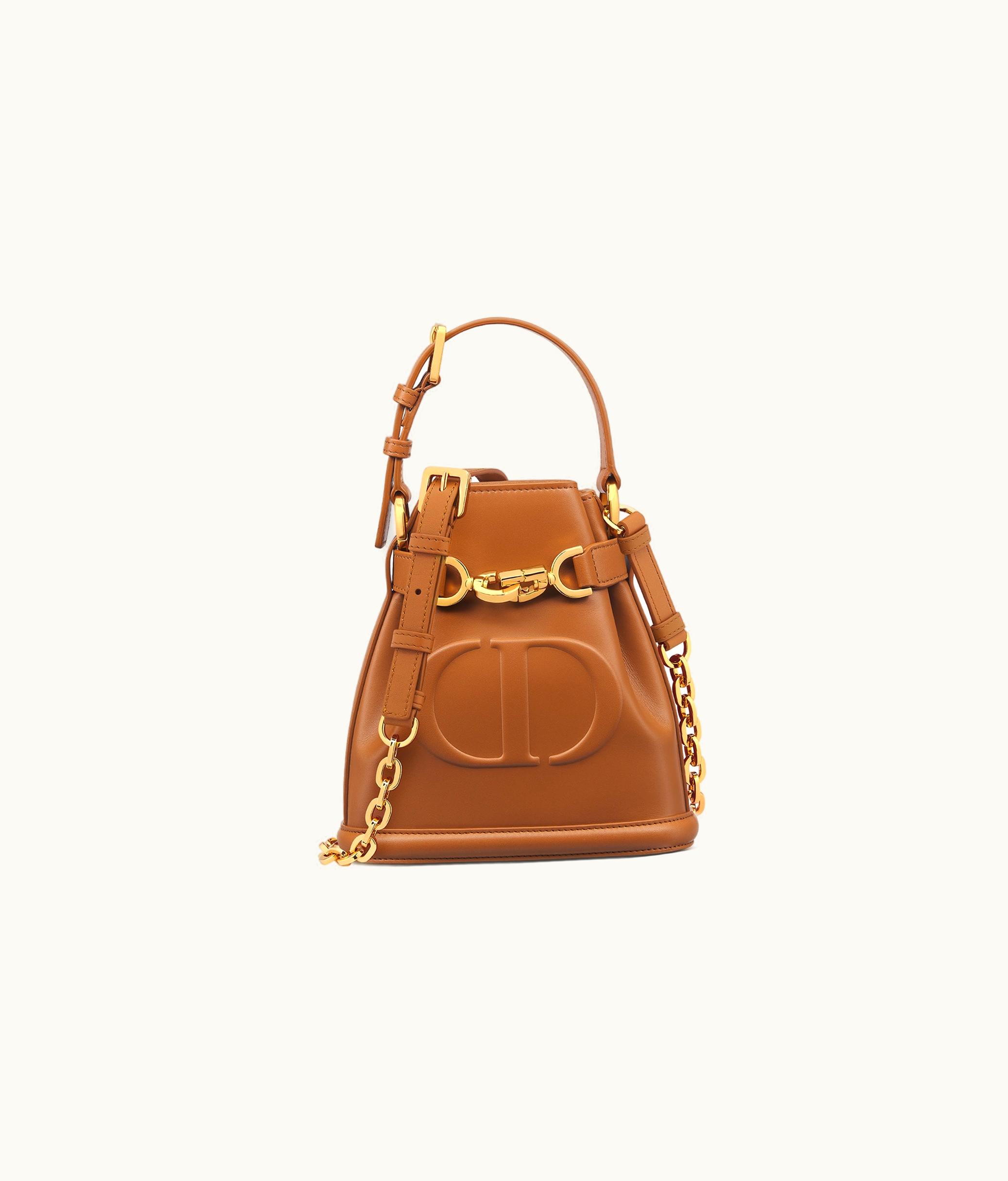 Dior Small C'est Dior Bag - Golden Saddle CD-Embossed Calfskin
