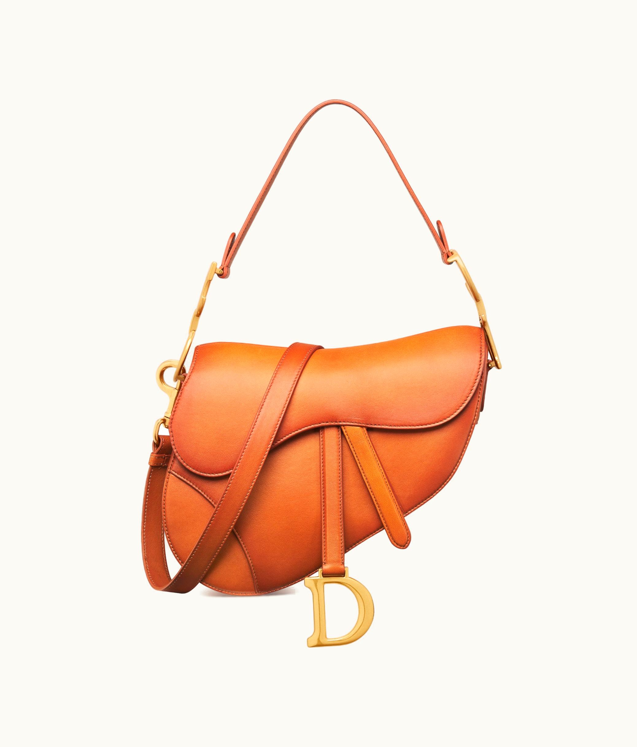 Dior Dior Saddle Bag With Strap - Brown Lambskin With A Patina Finish
