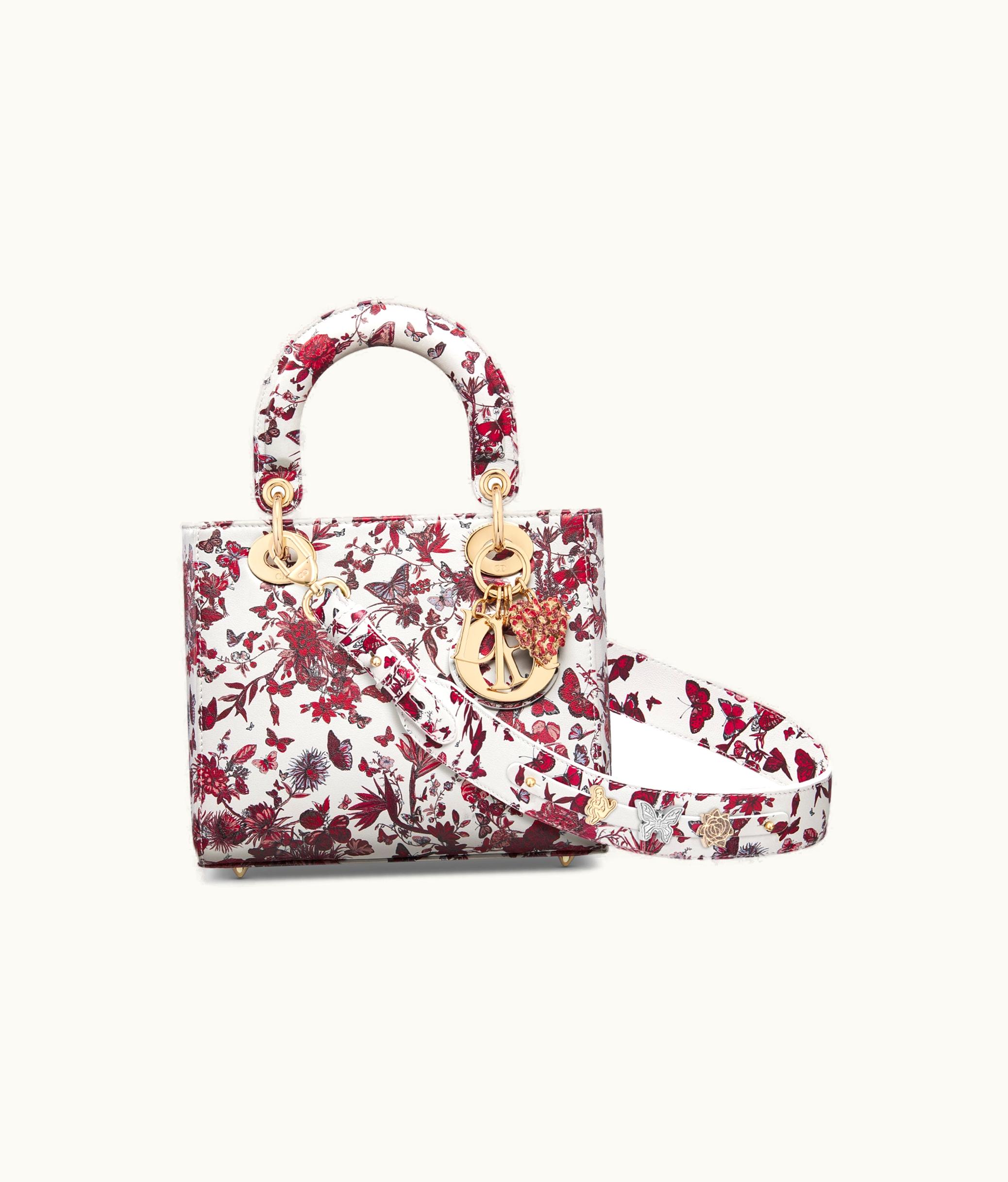 Dior Small Lady Dior My ABCDior Bag - White And Red Calfskin With Le Cœur Des Papillons Print