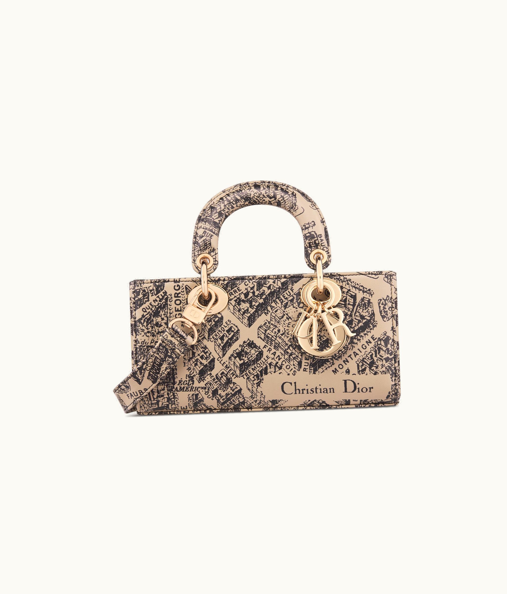 Dior Dior Small Lady D-Joy Bag - Beige And Black Plan De Paris Printed Calfskin