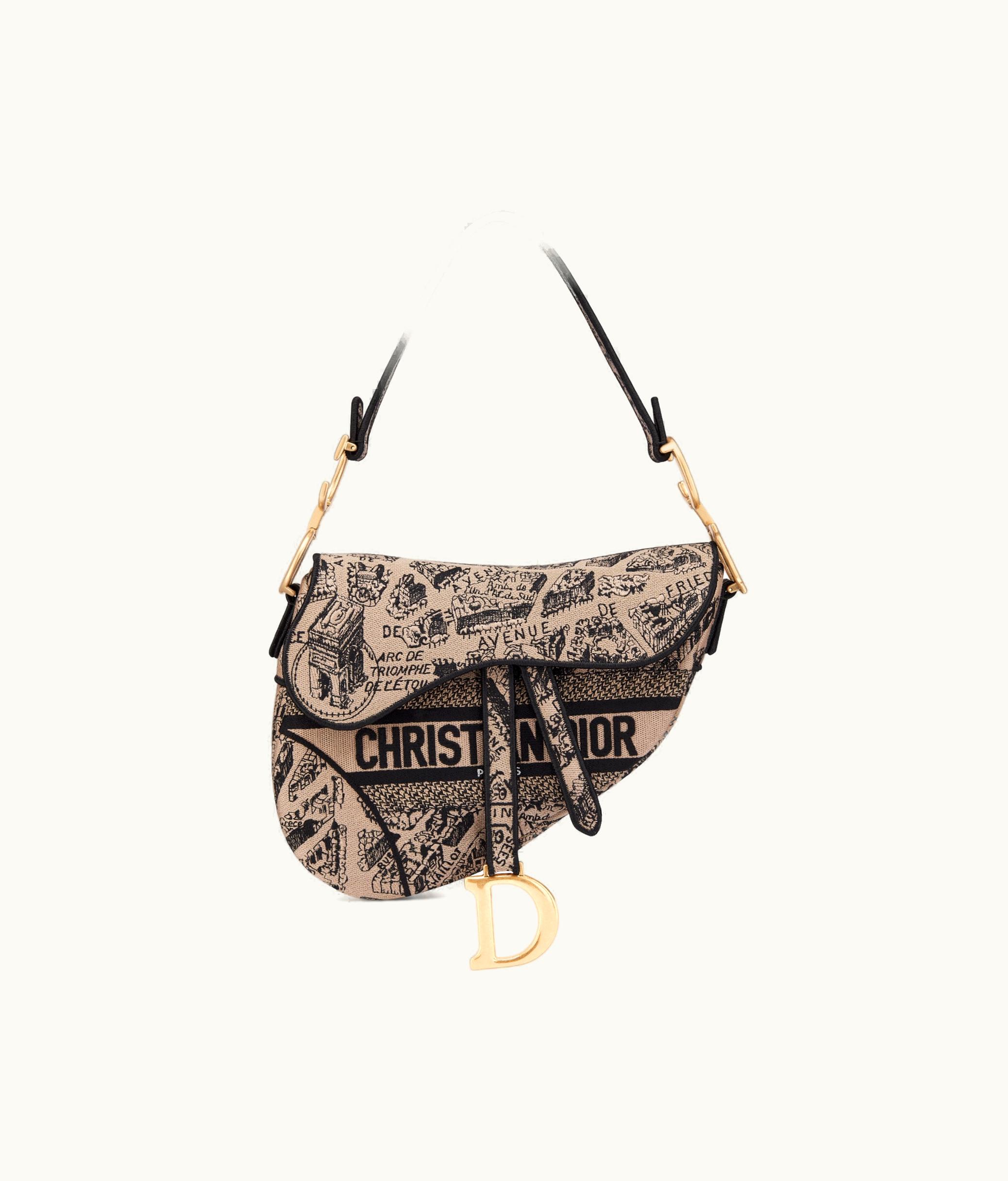 Dior Dior Saddle Bag - Beige And Black Plan De Paris Embroidery
