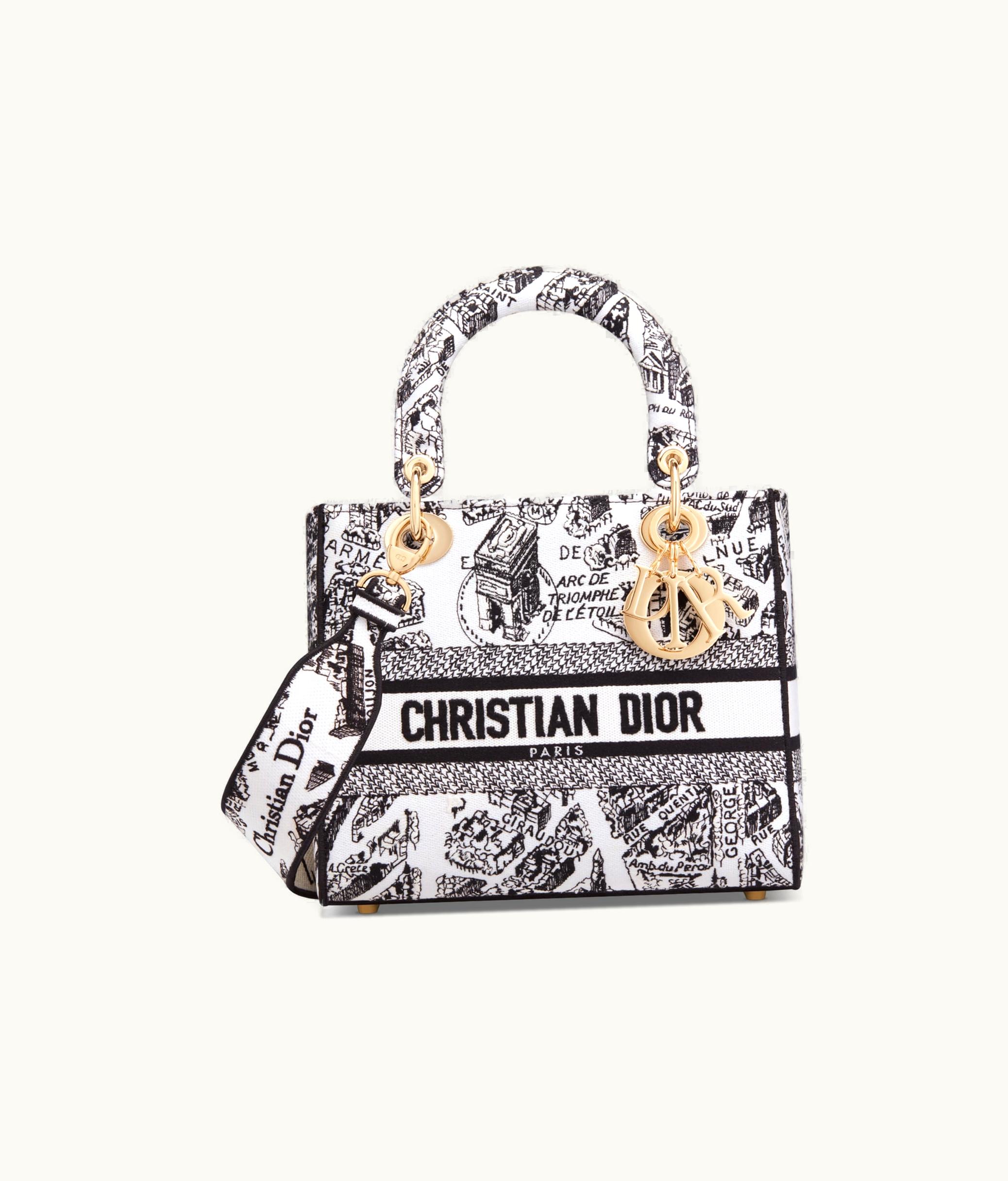 Dior Dior Medium Lady D-Lite Bag - White And Black Plan De Paris Embroidery