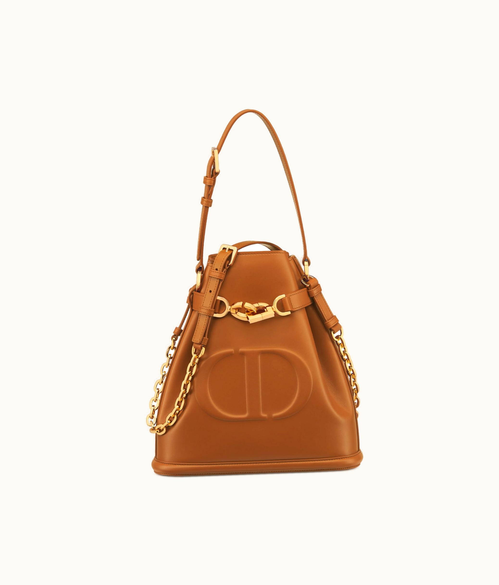 Dior Medium C'est Dior Bag - Golden Saddle CD-Embossed Calfskin