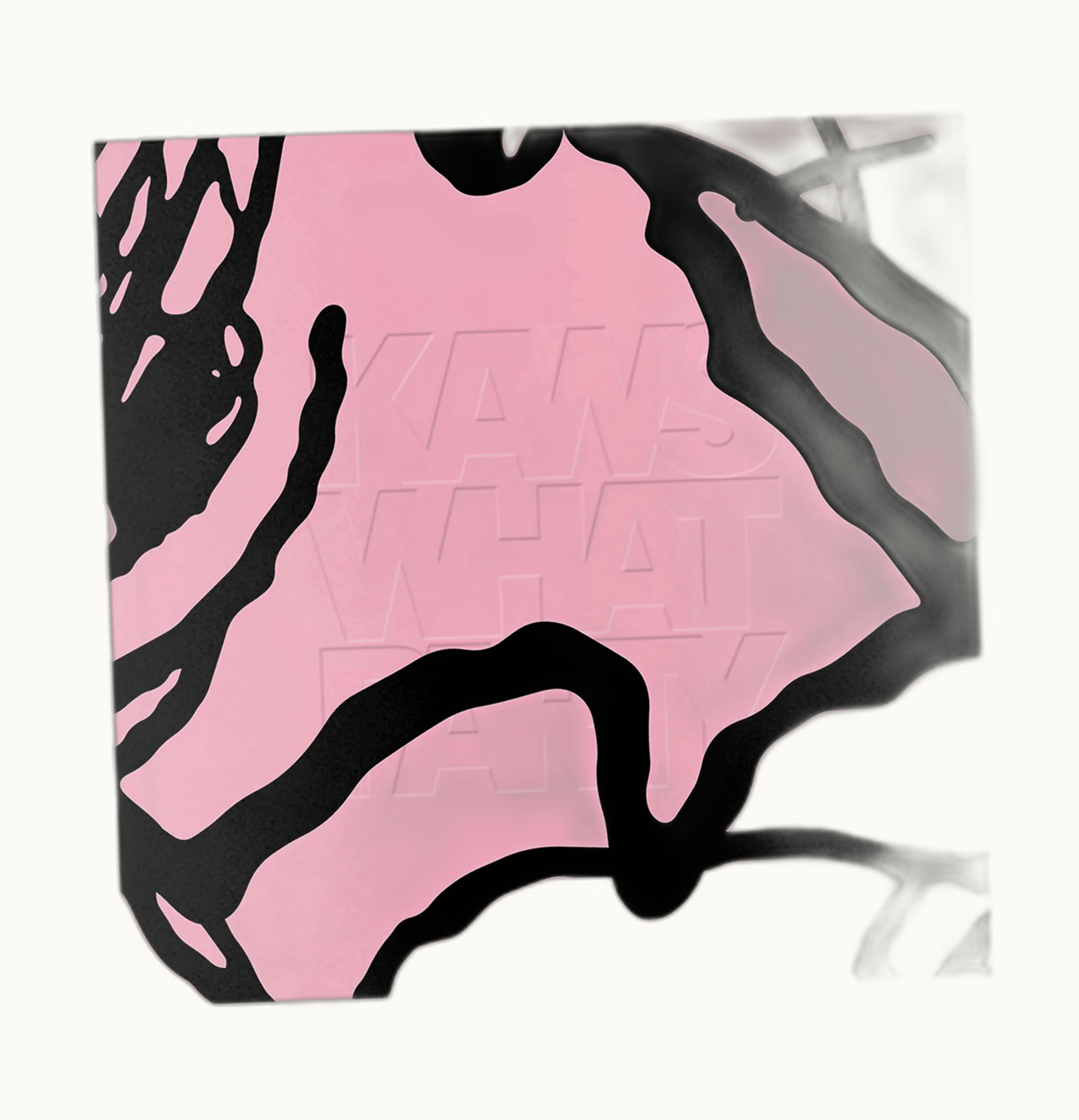 KAWS KAWS What Party Bookley