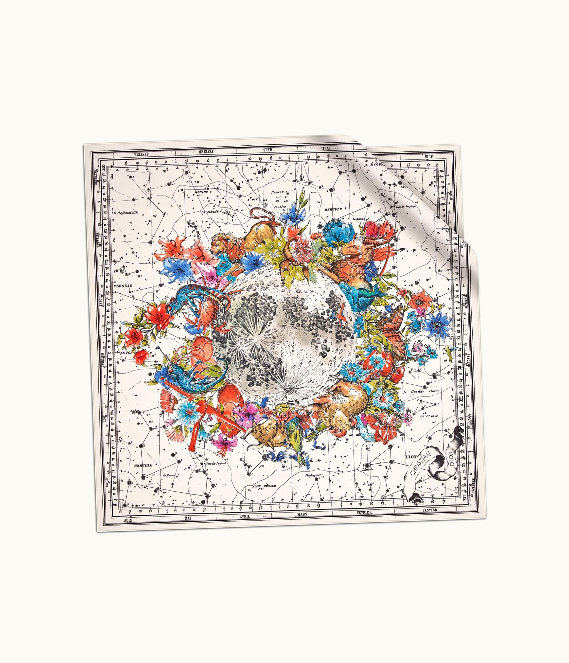 Dior Dior Zodiac 90 Square Scarf - White Silk Twill
