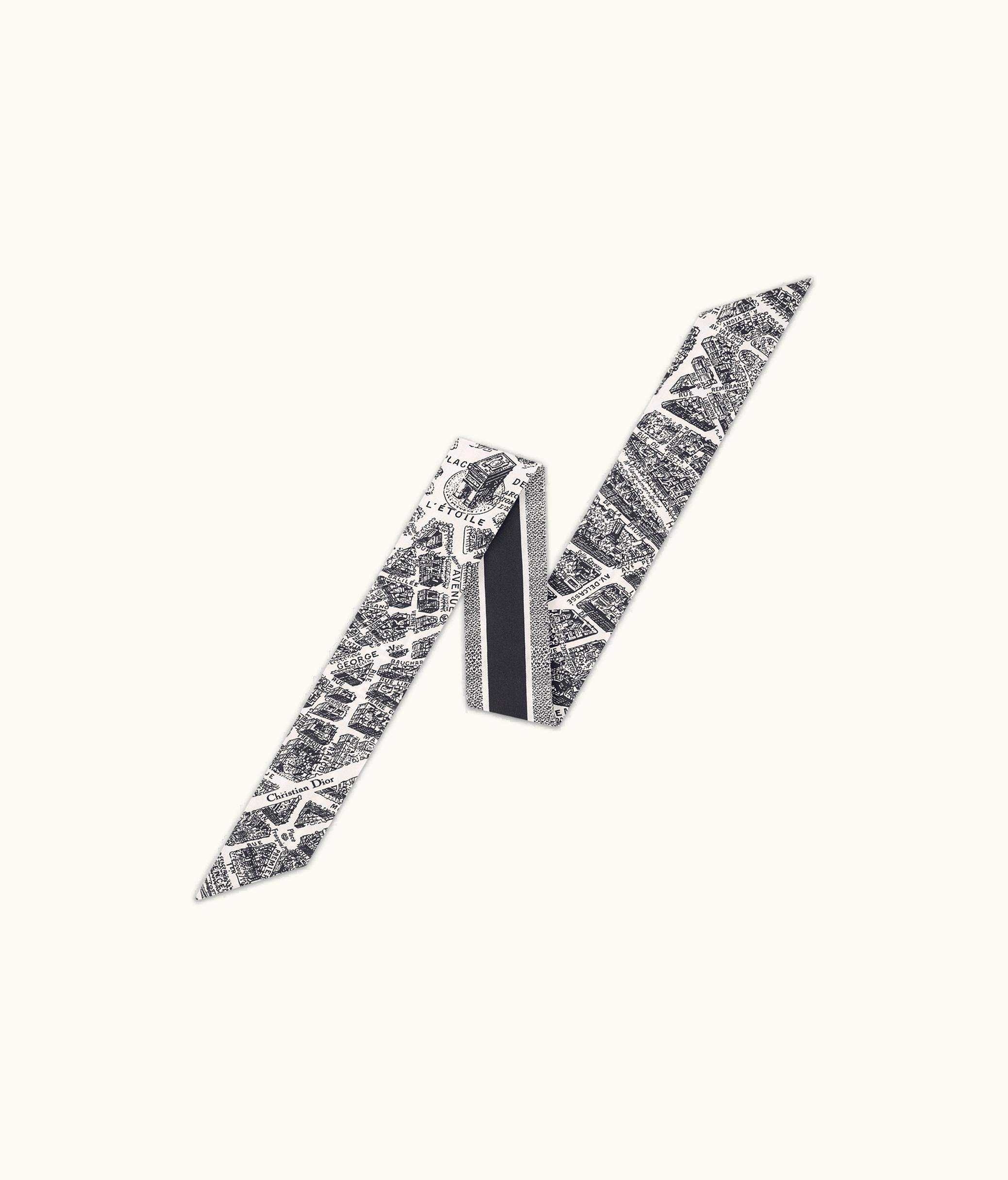 Dior Dior Plan De Paris Mitzah Scarf - White And Black Silk Twill