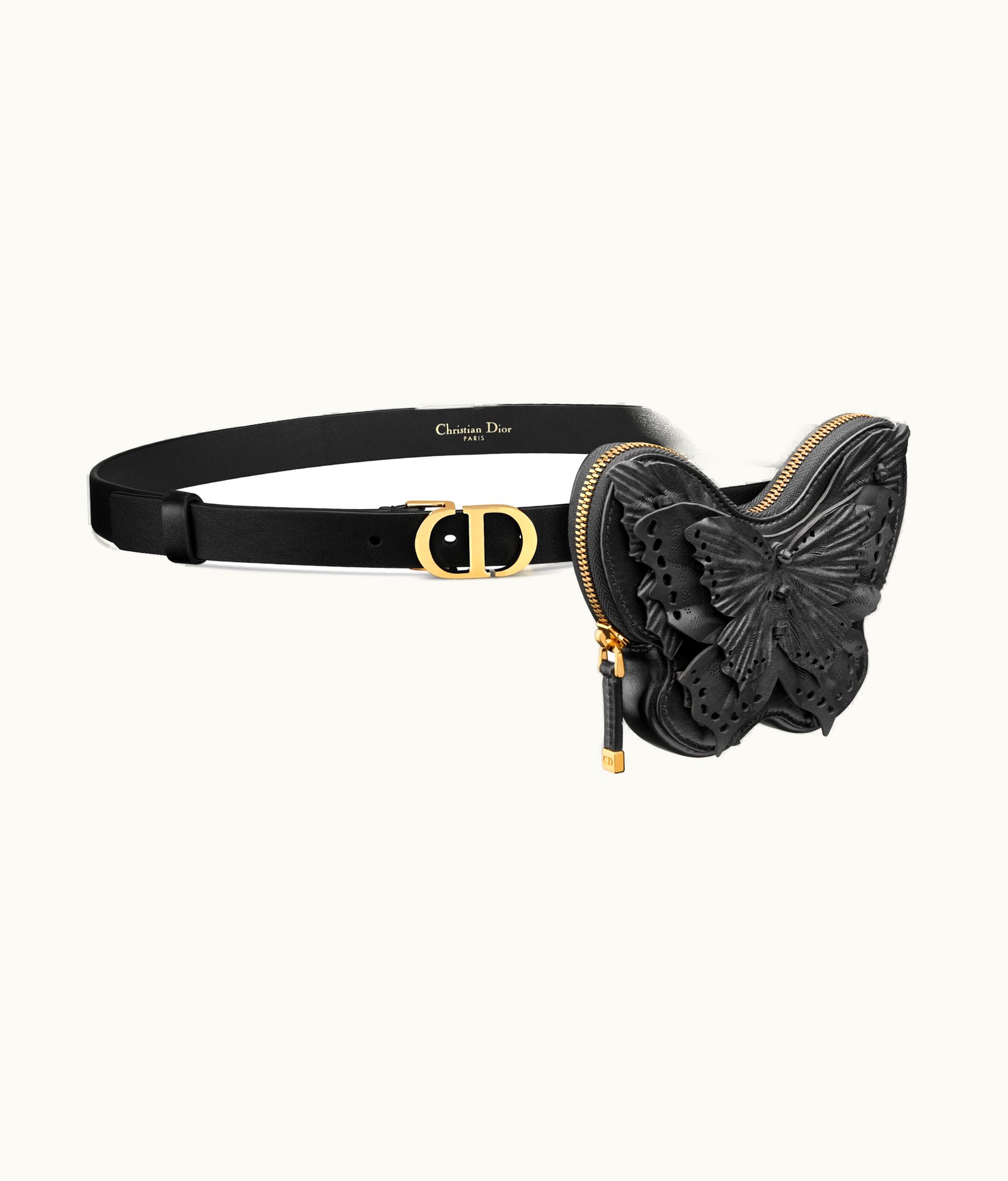 Dior Dior 30 Montaigne Removable Pouch Belt - Black Calfskin And Goatskin, 20 MM