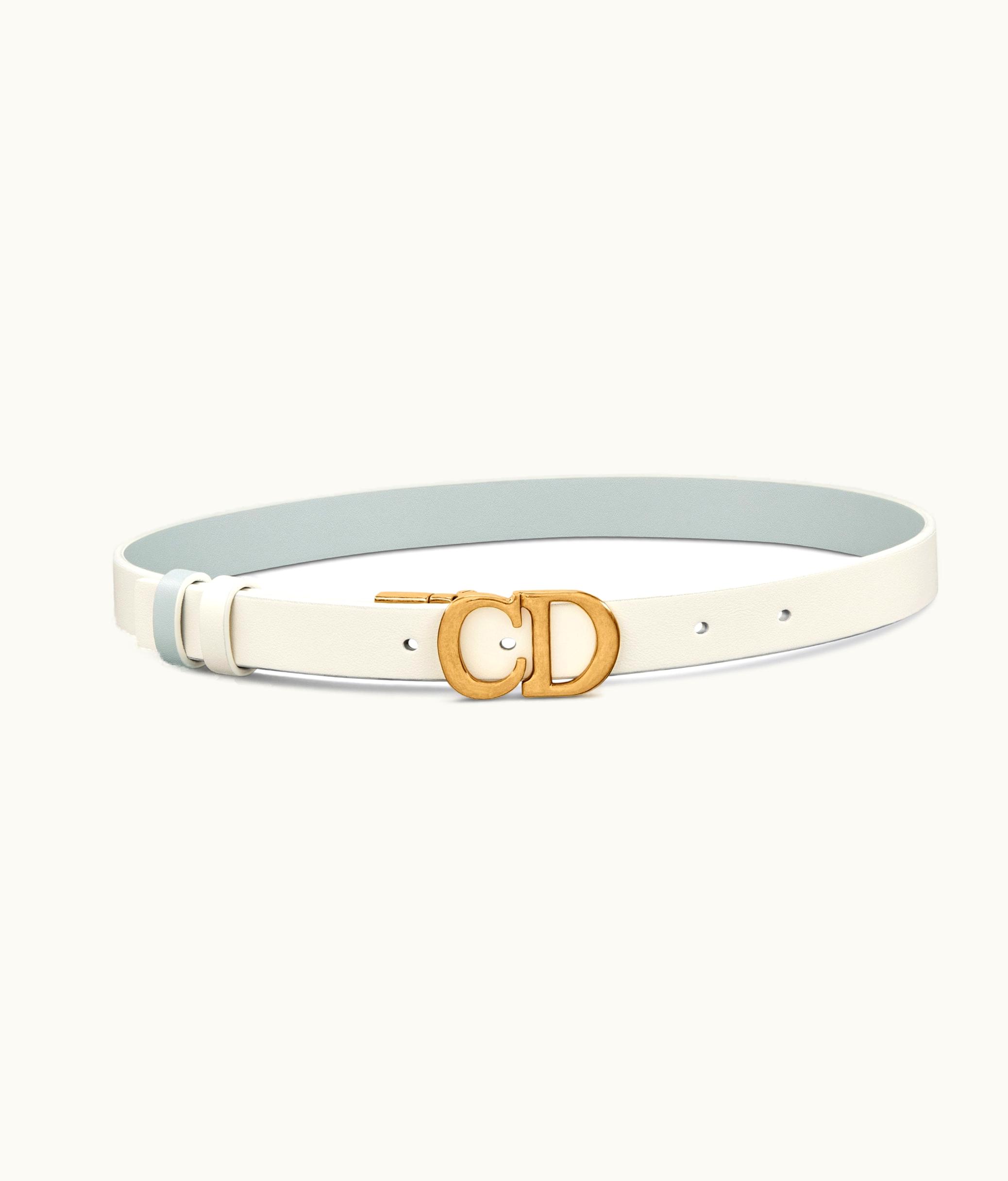 Dior Dior Reversible Saddle Belt - Placid Blue And Latte Smooth Calfskin, 20 MM