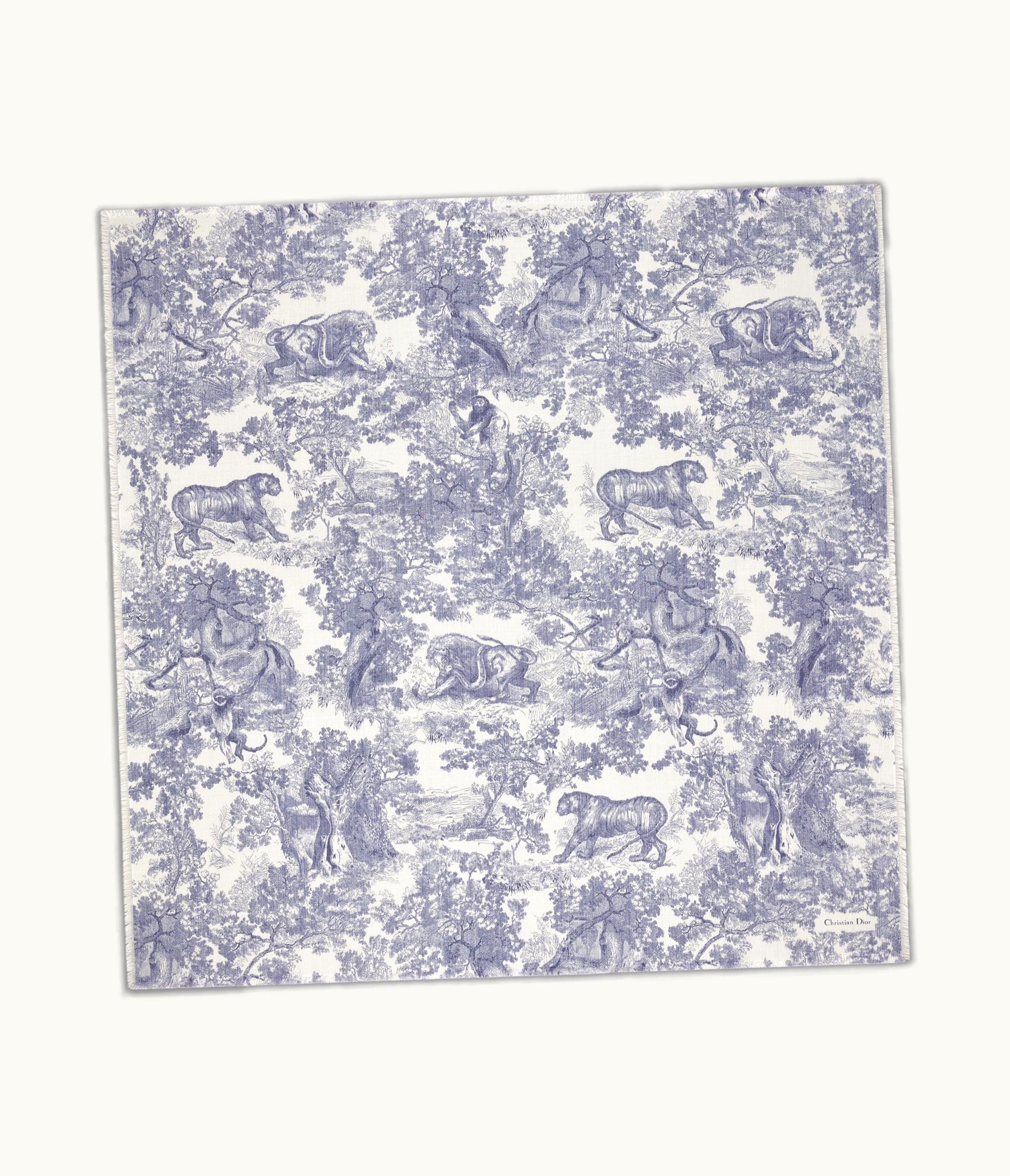 Dior Dior Toile De Jouy Sauvage Chiné Shawl - Ivory And Blue Silk And Wool
