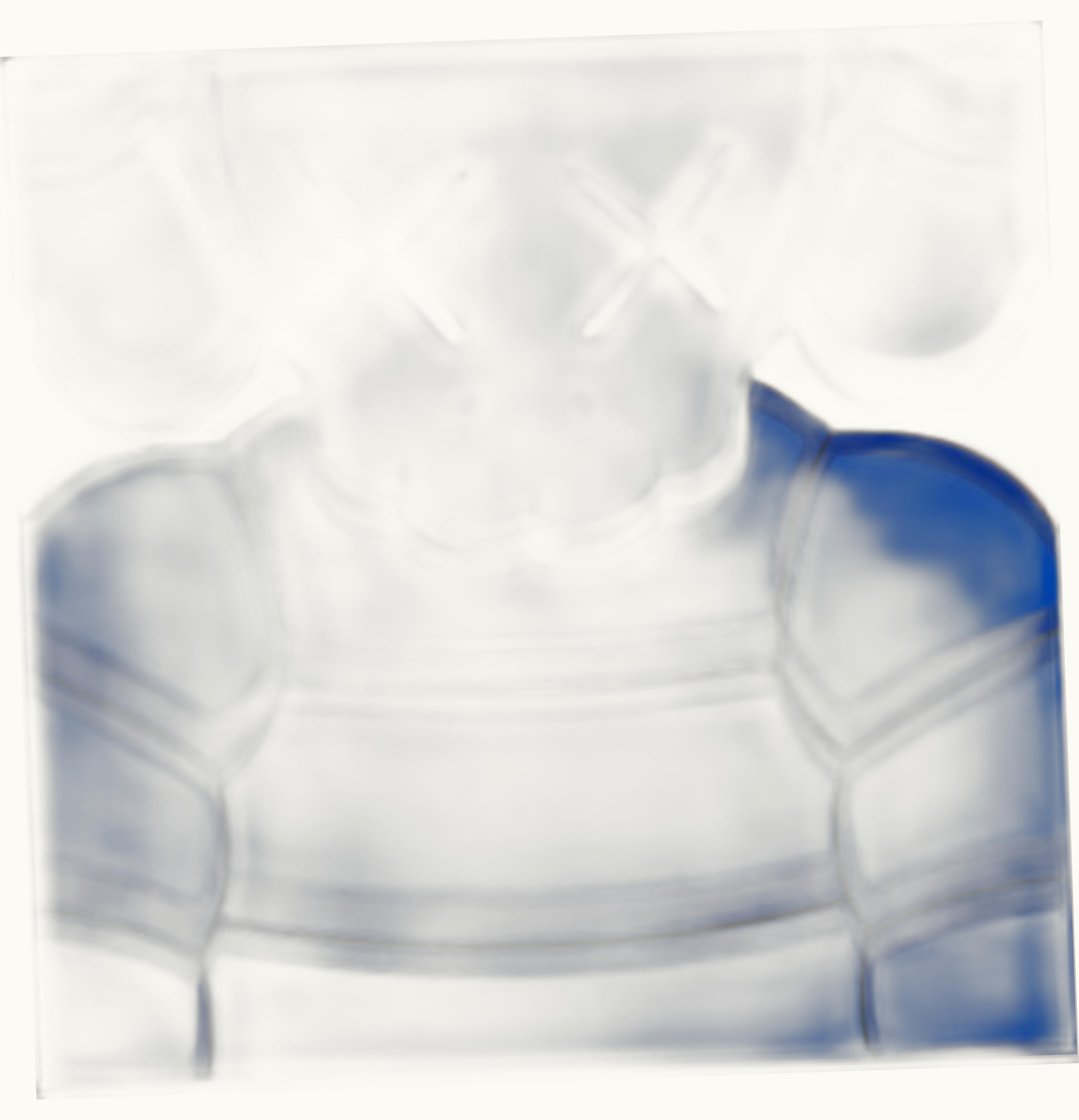 KAWS KAWS What Party Print 1 Blue Signed Edition of 100