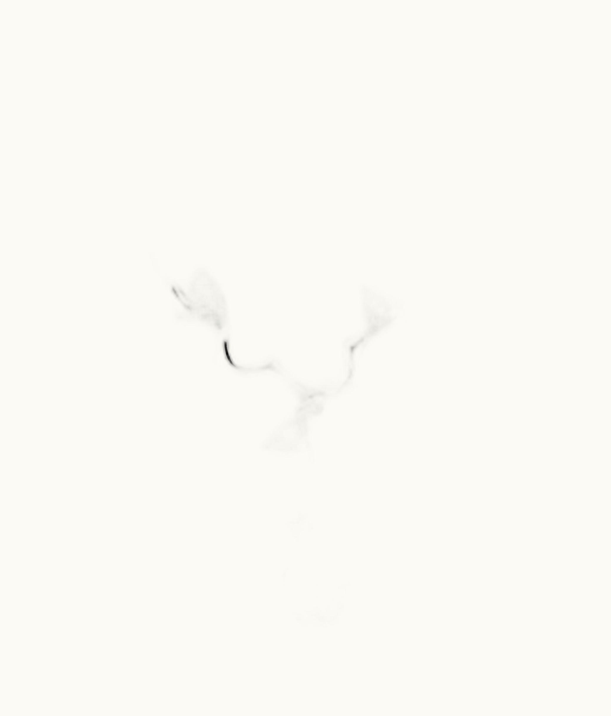 Dior Medium Rose Dior Bagatelle Necklace - White Gold And Diamonds