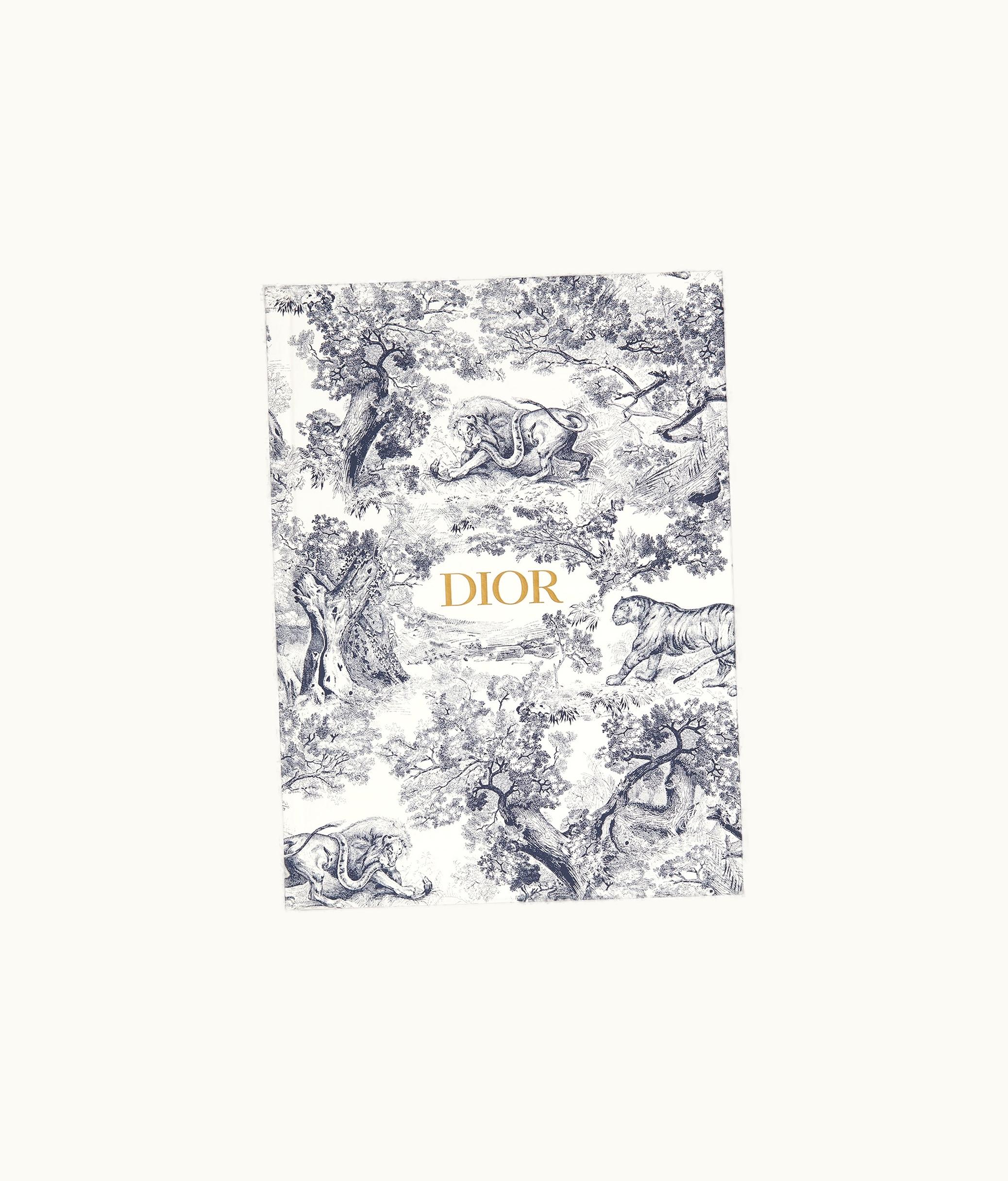 Dior Large Notebook - Blue Toile De Jouy