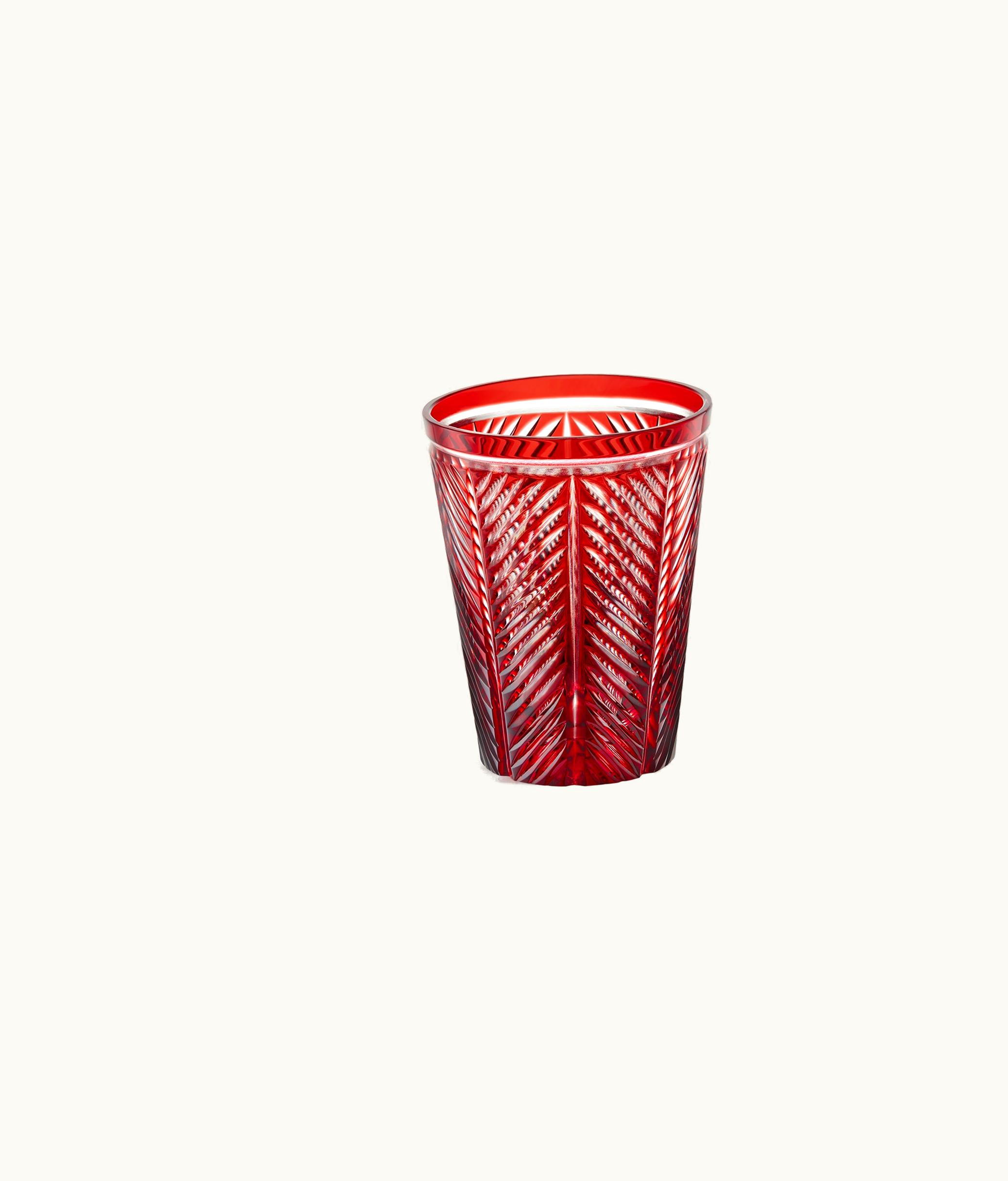 Dior Water Glass - Red Chevrons