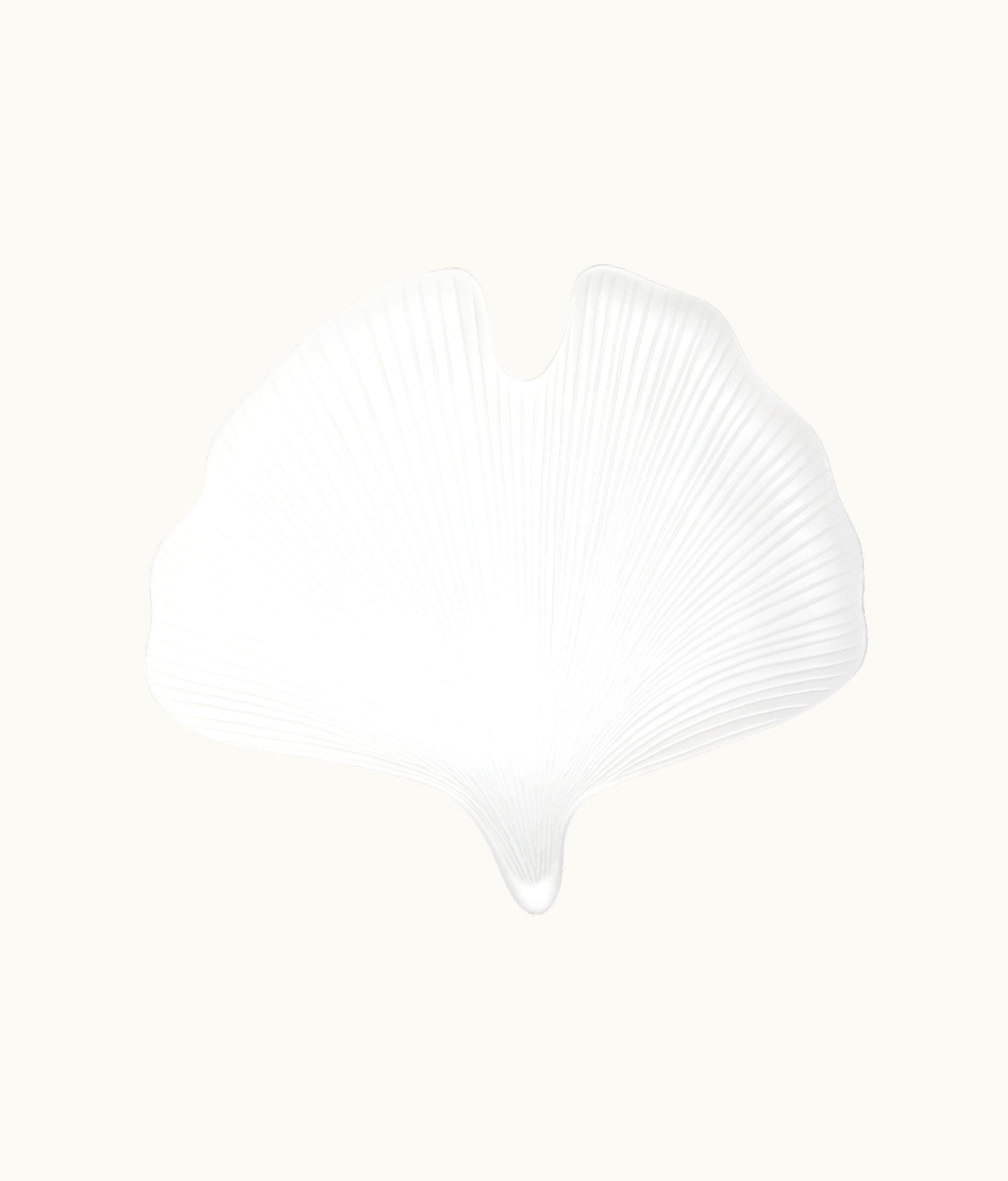 Dior Dior Large Decorative Plate - White Ginkgo