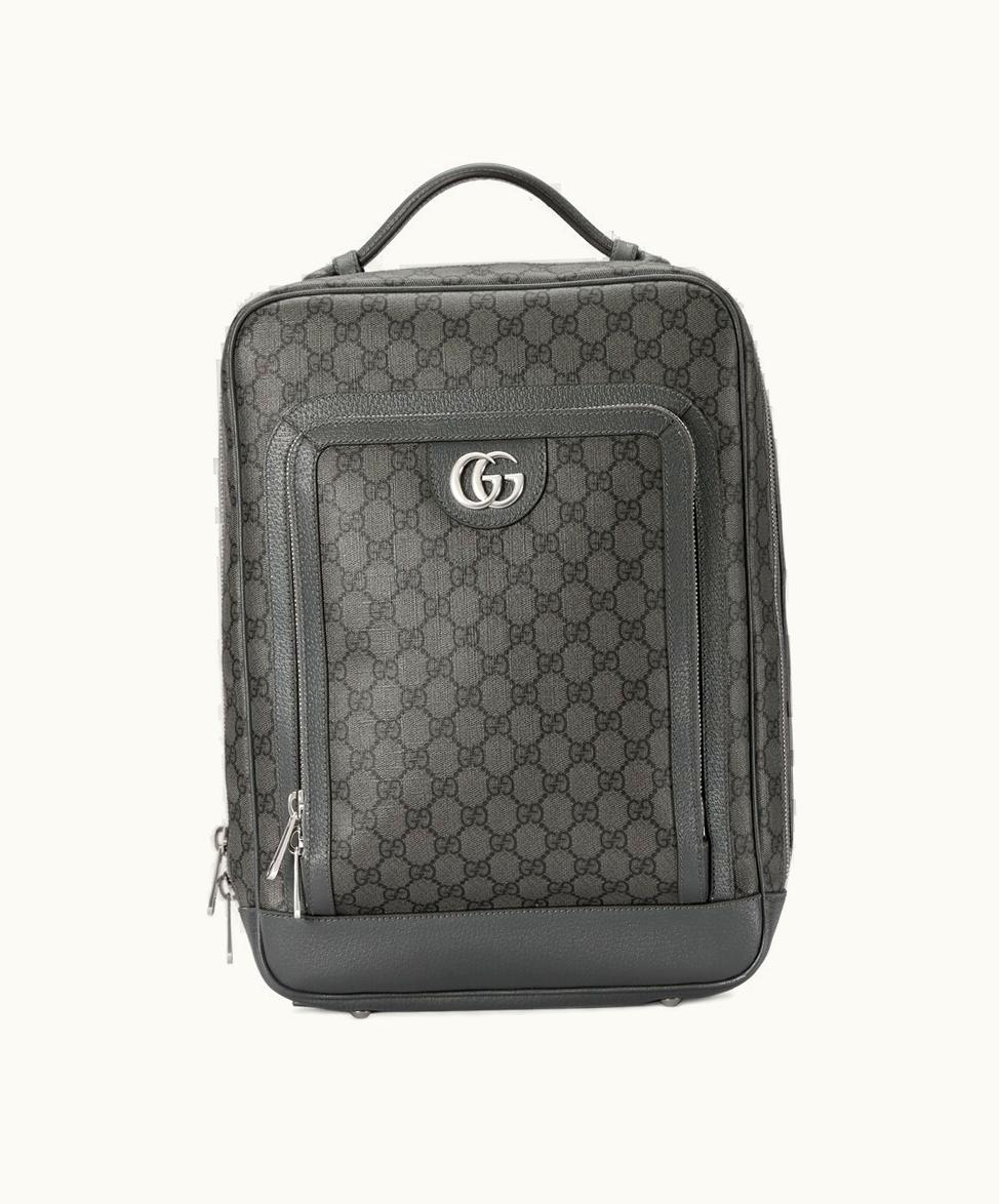 Gucci Gucci Ophidia GG Medium Backpack Grey And Black Supreme