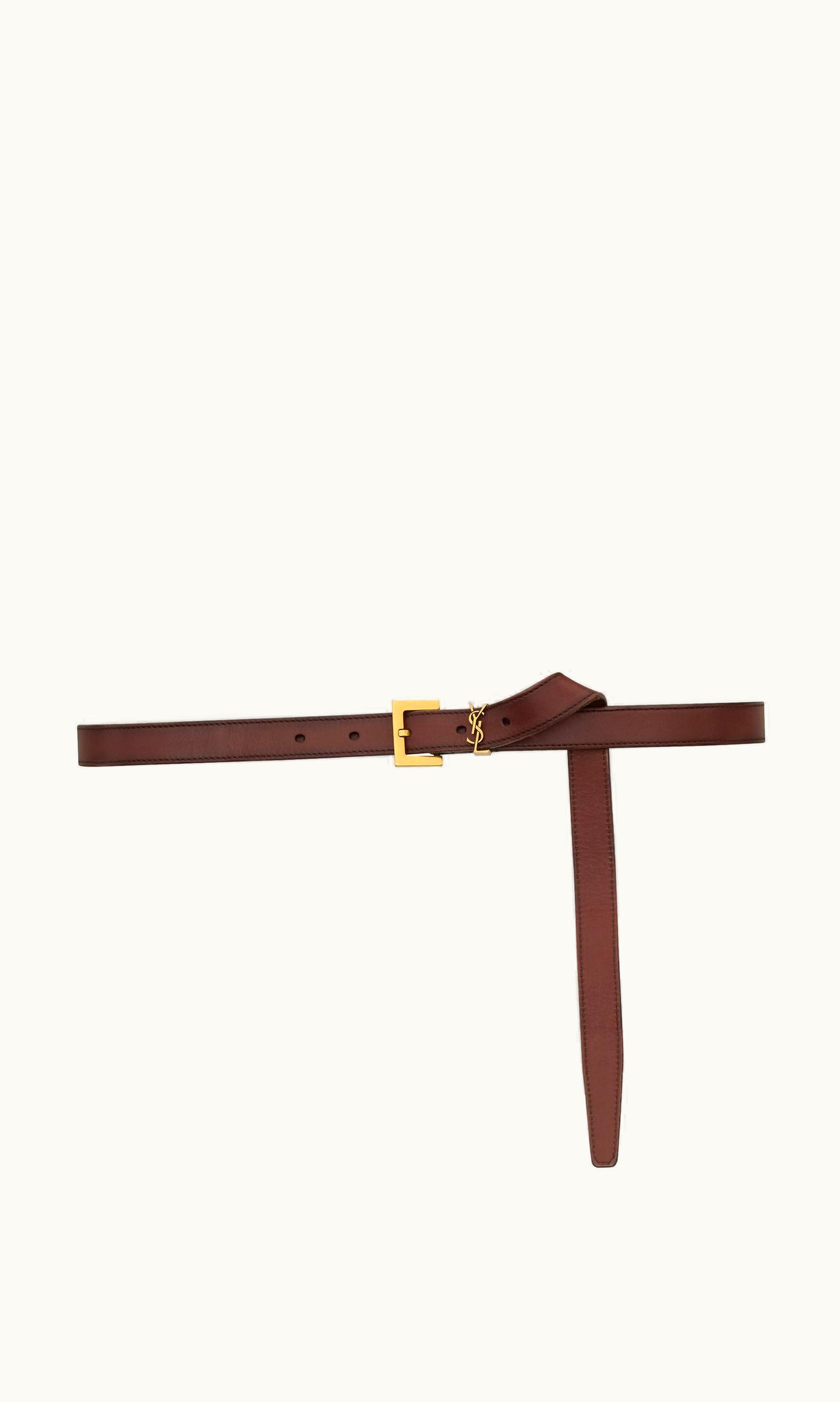 Saint Laurent Saint Laurent Cassandre Thin Belt In Vegetable-Tanned Leather Dark Brown Chocolate